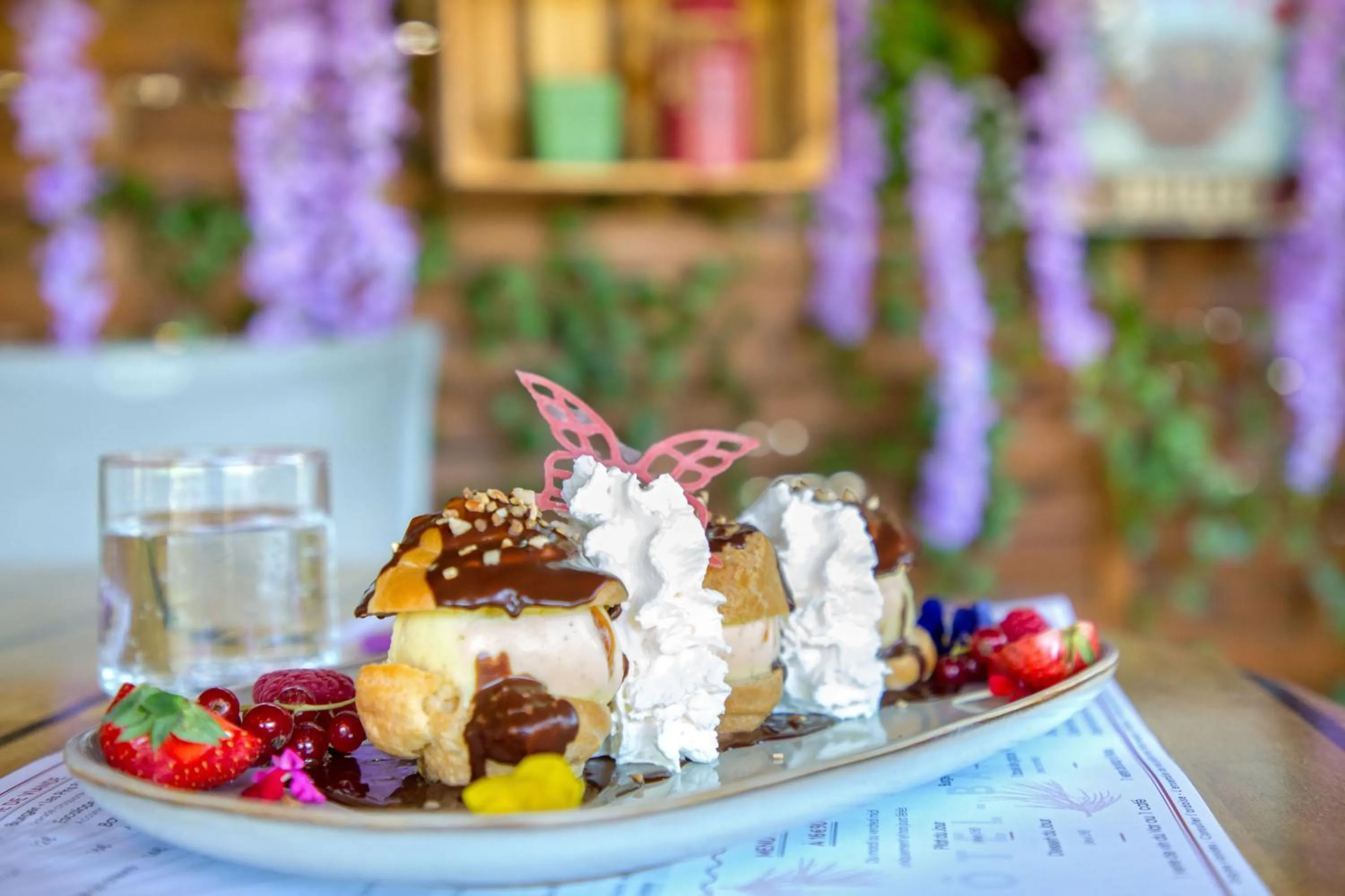 Les Pins Blancs en Provence