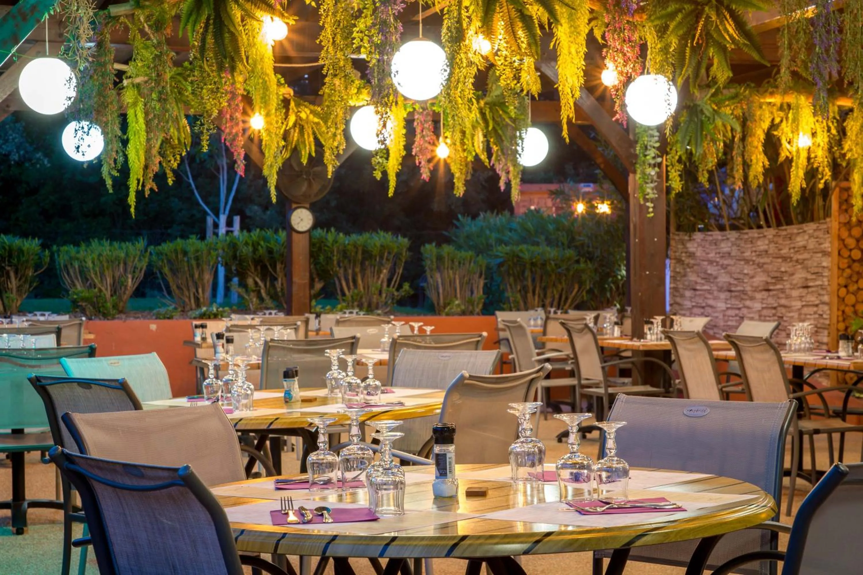 Les Pins Blancs en Provence