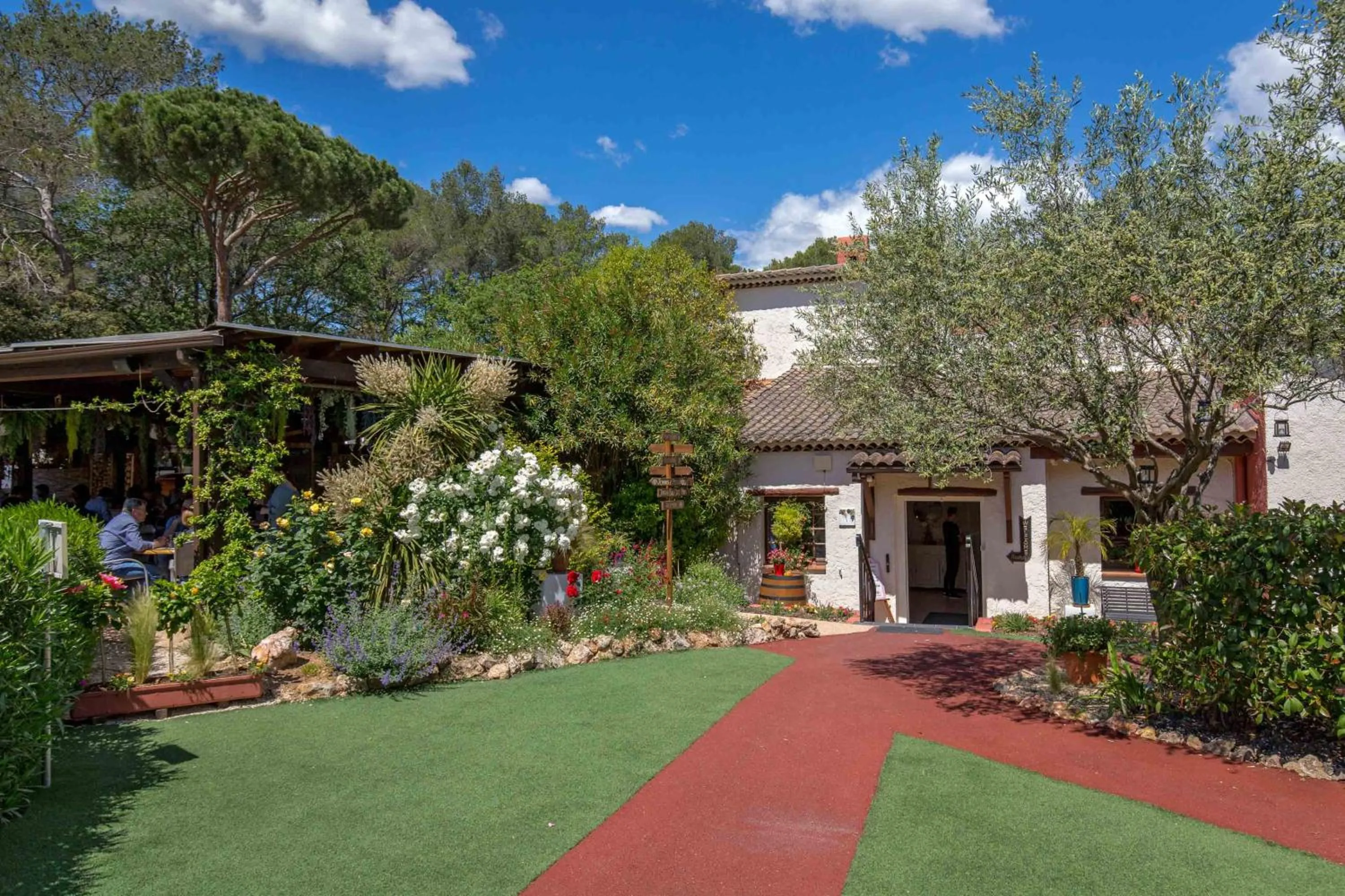 Les Pins Blancs en Provence