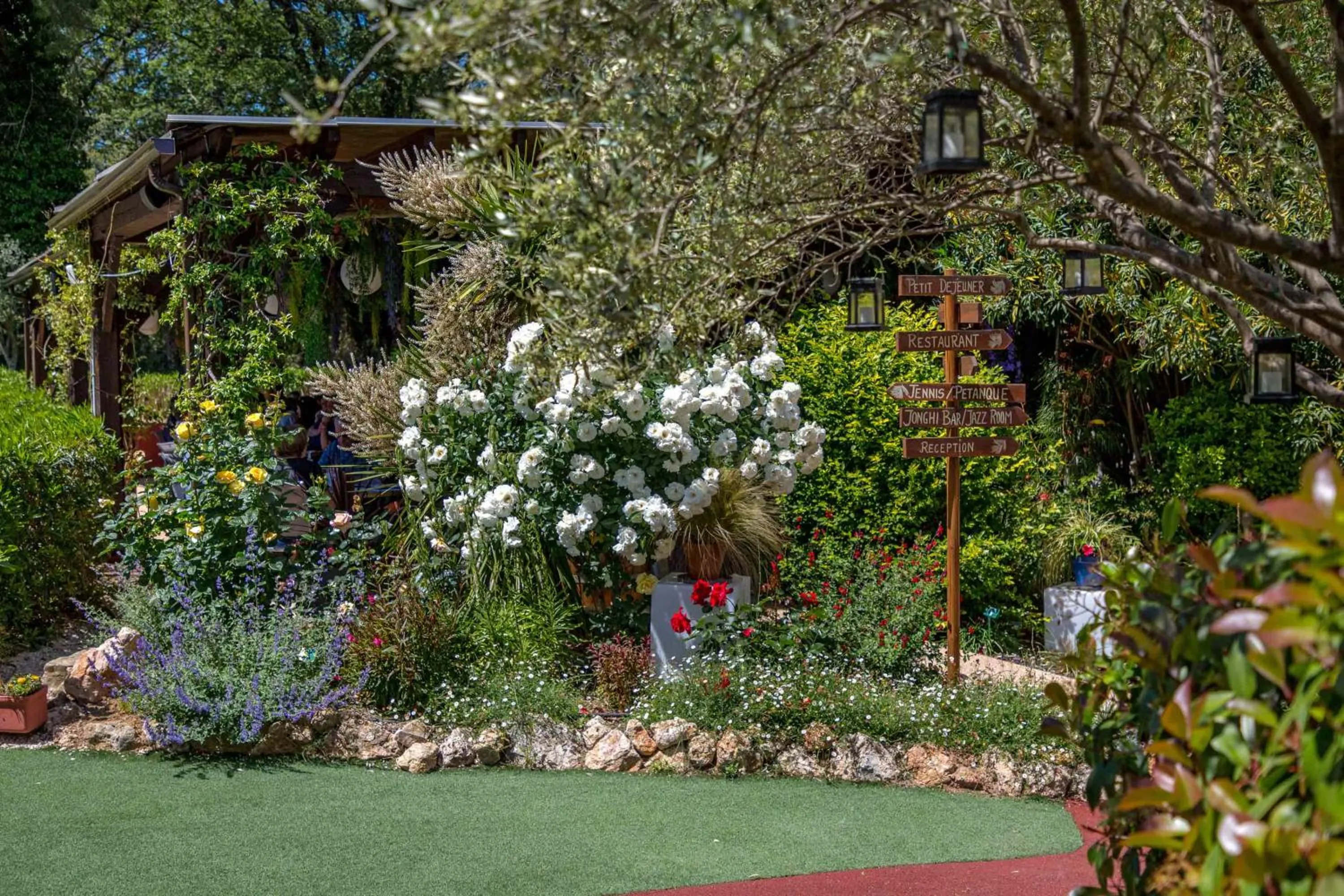 Les Pins Blancs en Provence