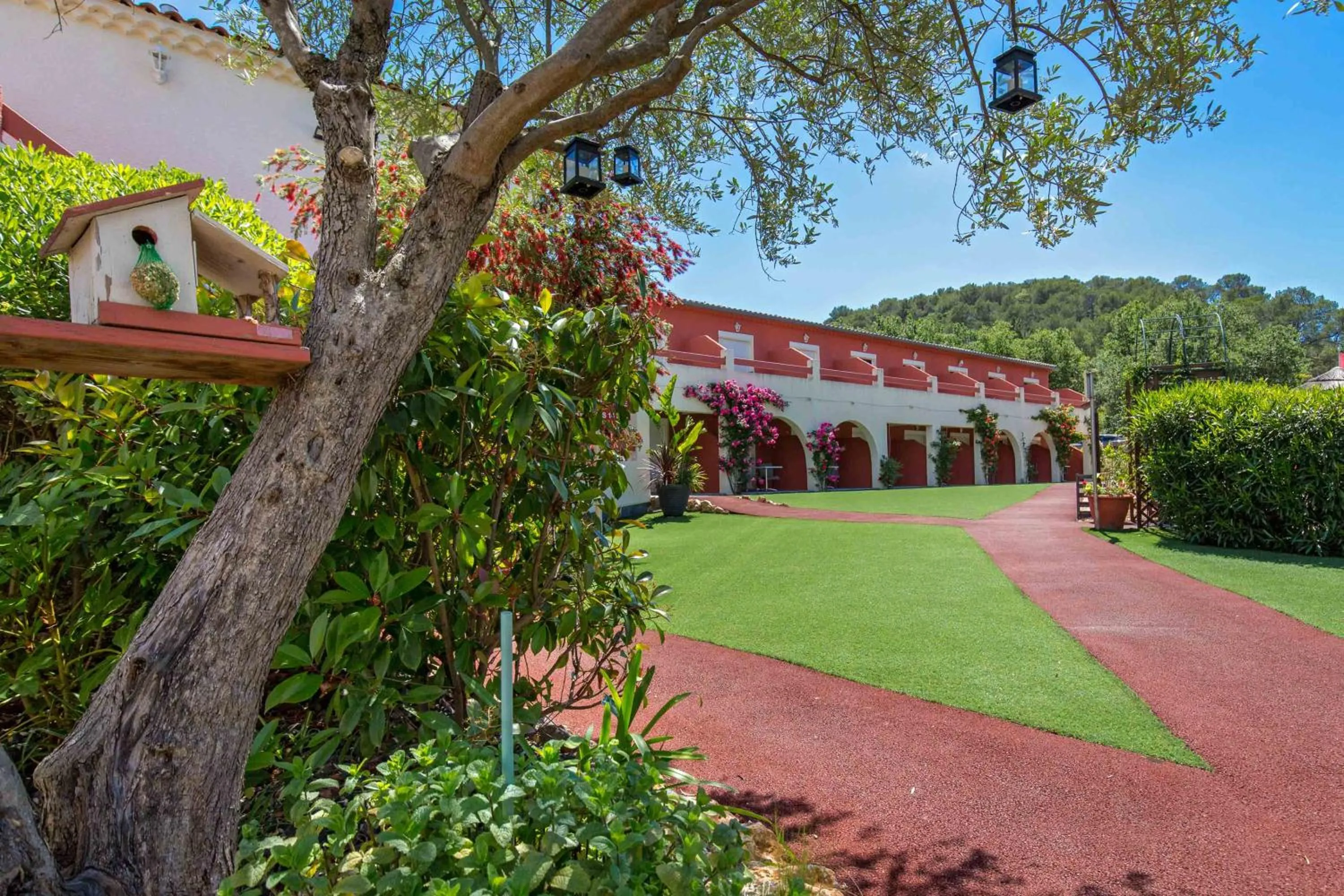 Les Pins Blancs en Provence