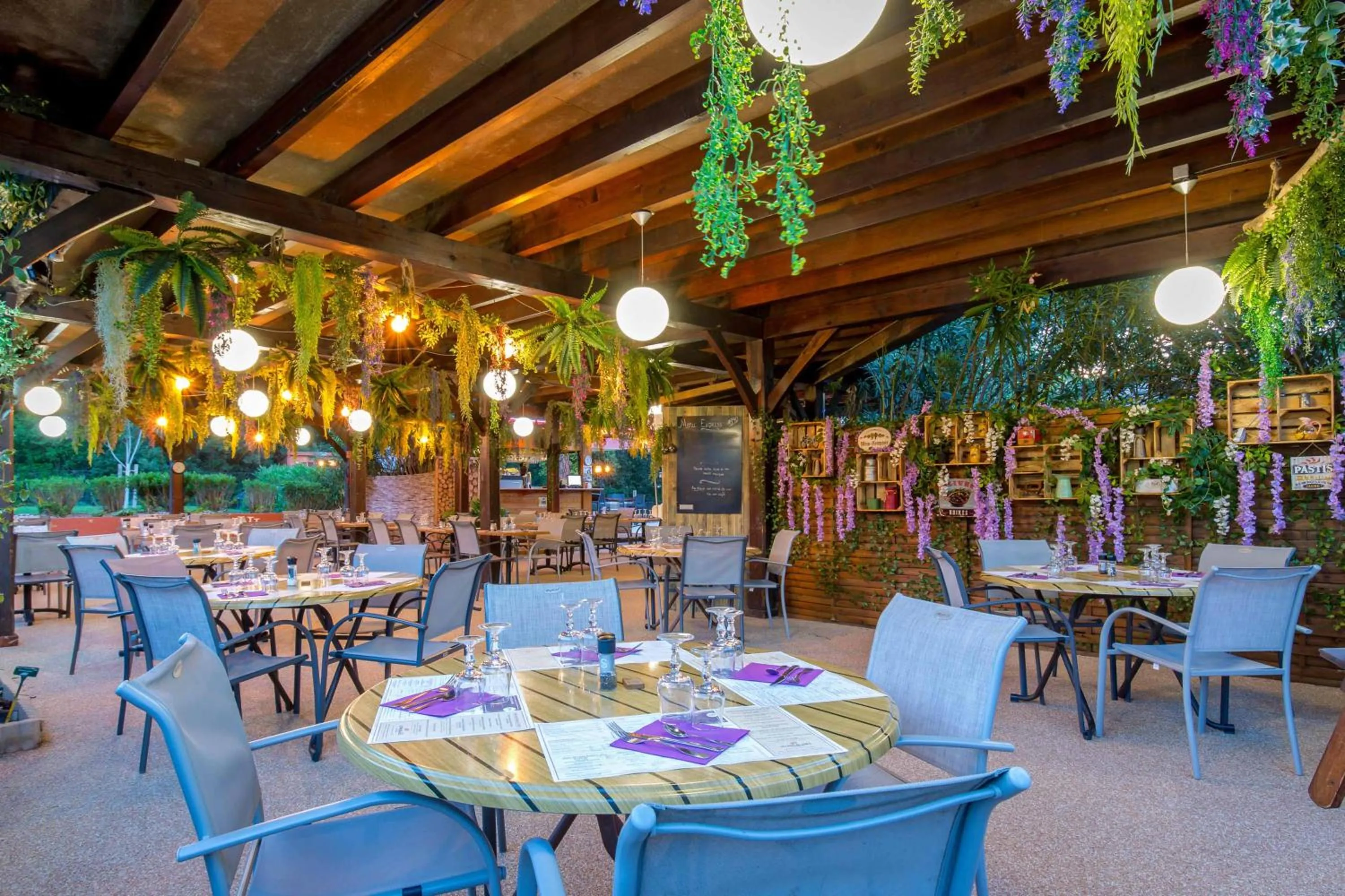 Les Pins Blancs en Provence