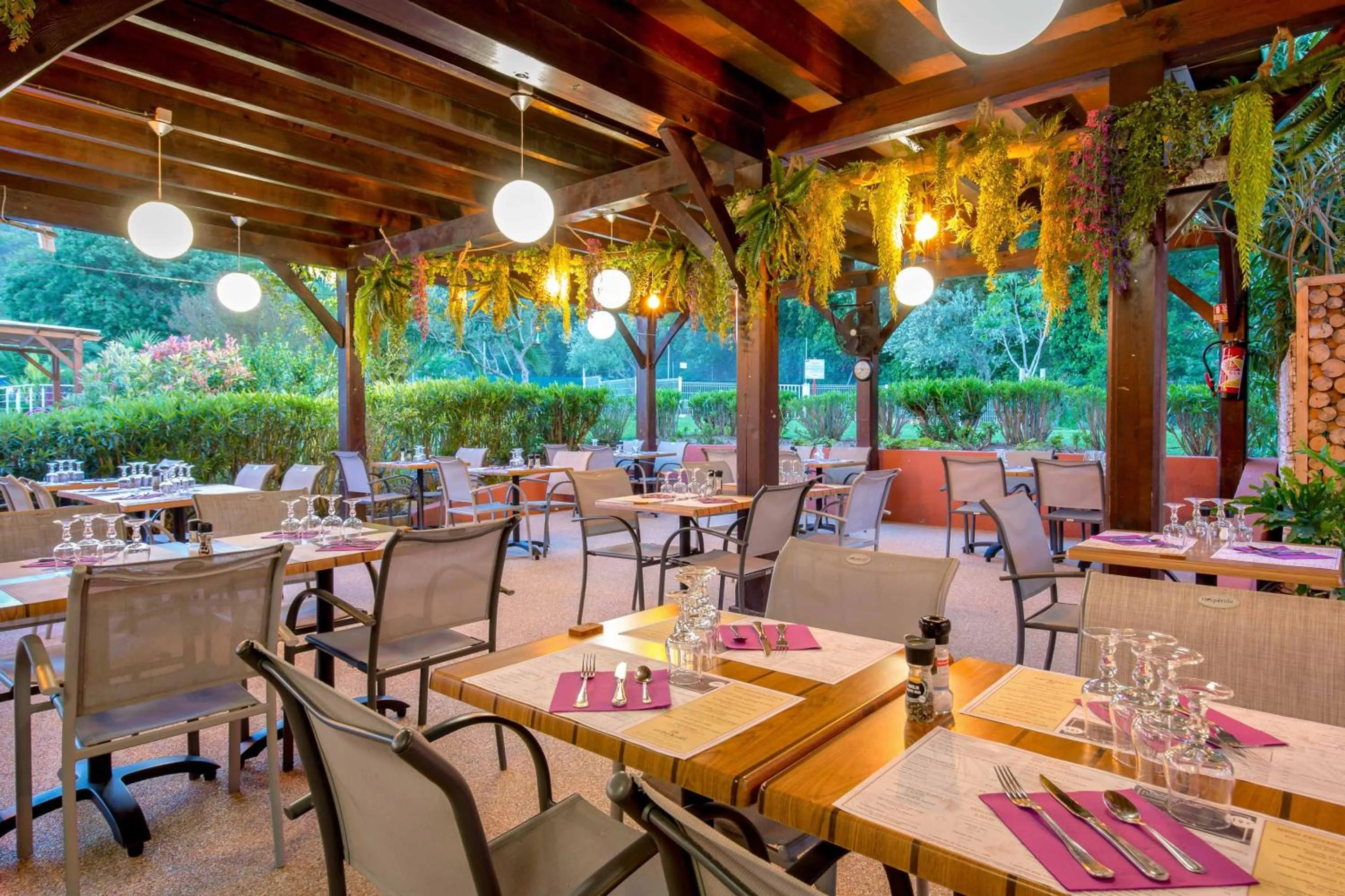 Les Pins Blancs en Provence