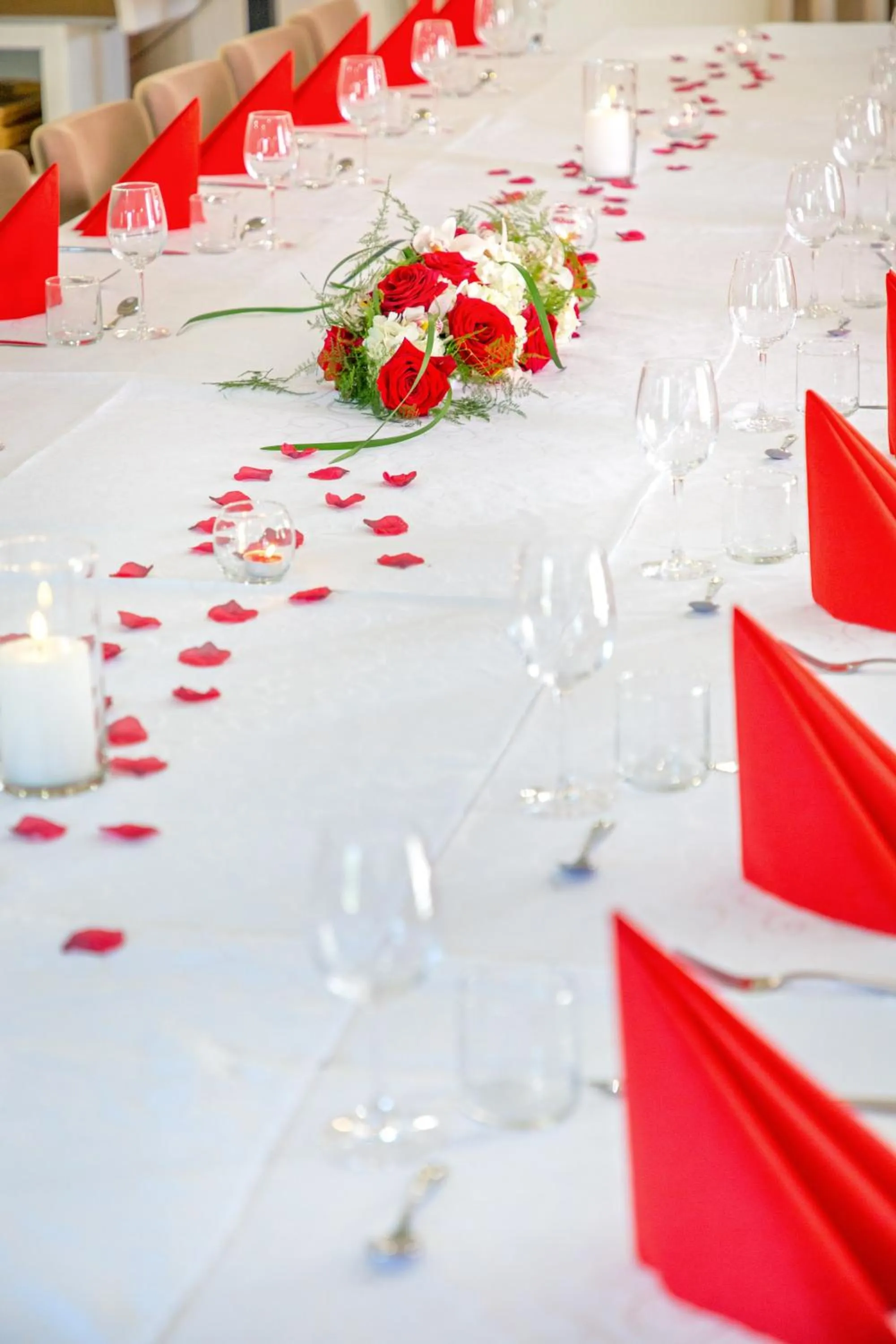 Les Pins Blancs en Provence