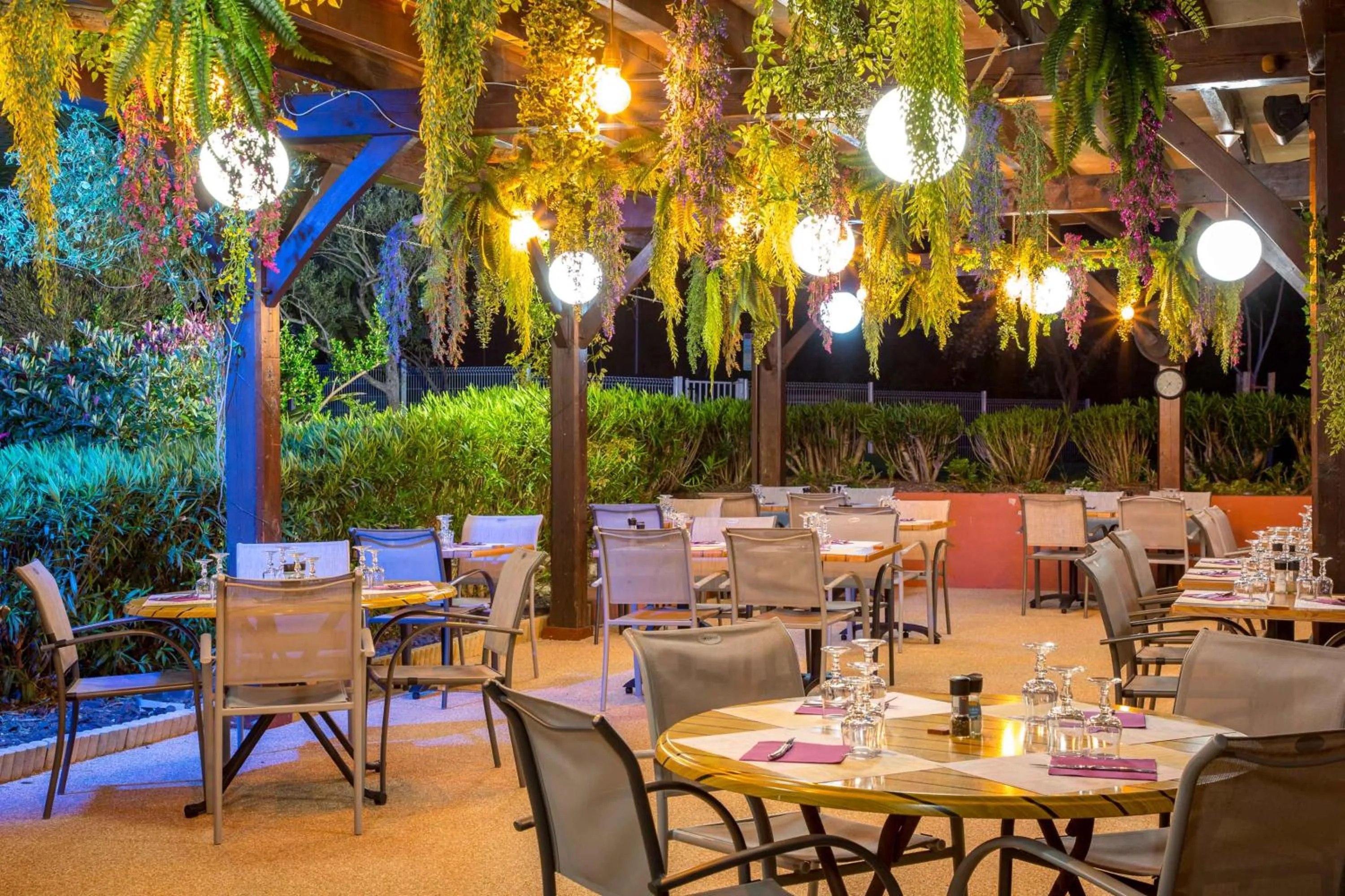 Les Pins Blancs en Provence