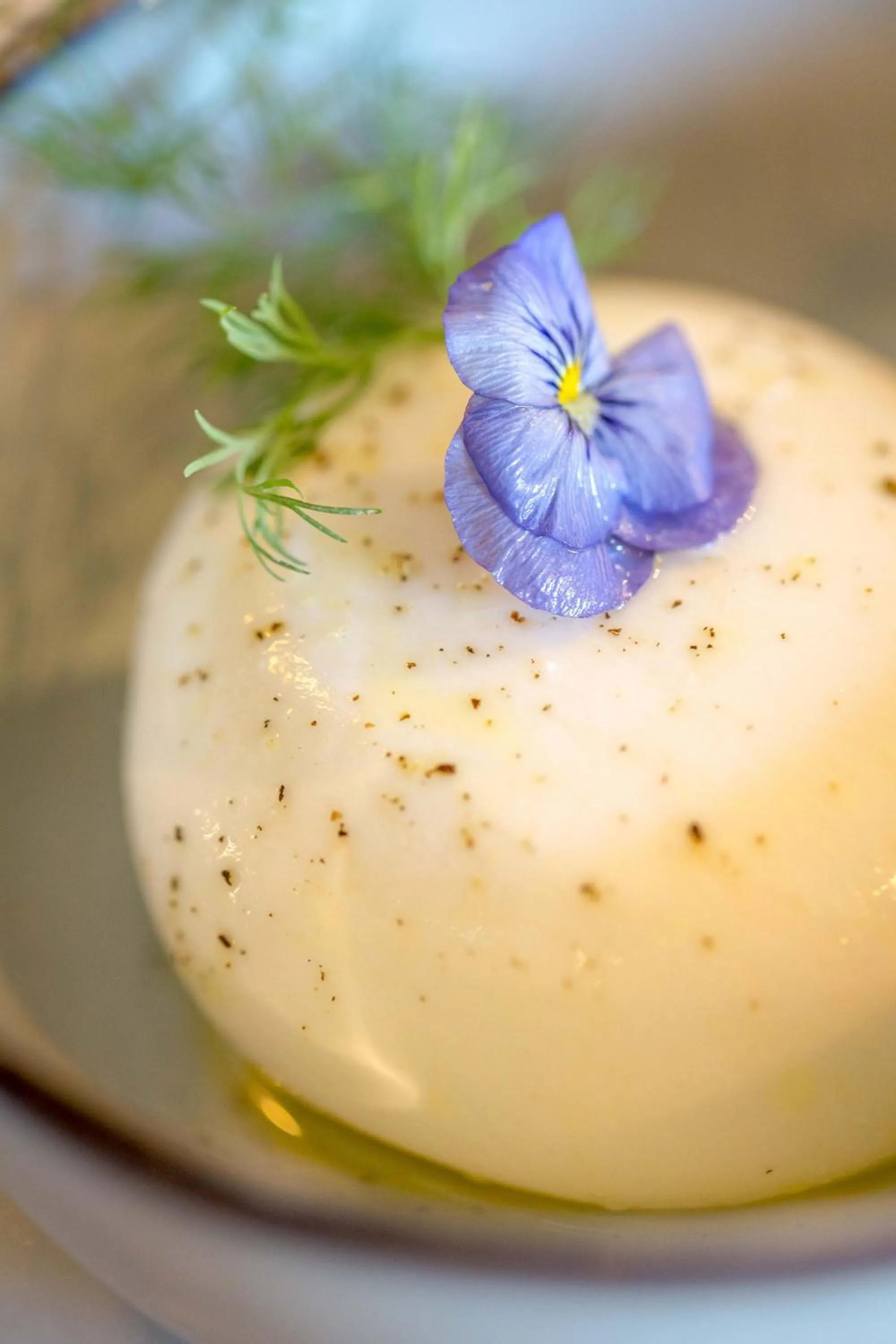 Restaurant/places to eat in Les Pins Blancs en Provence