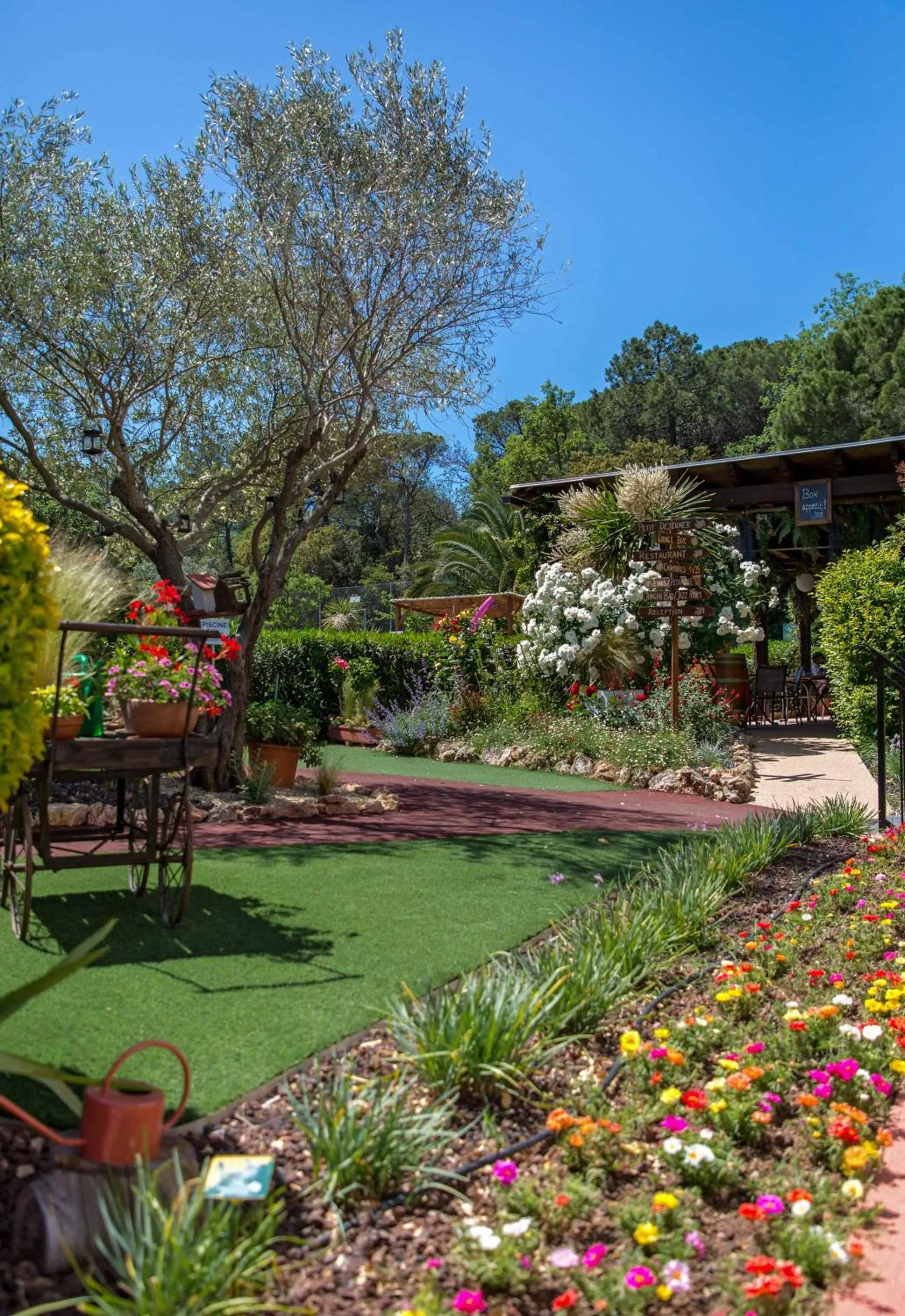 Les Pins Blancs en Provence