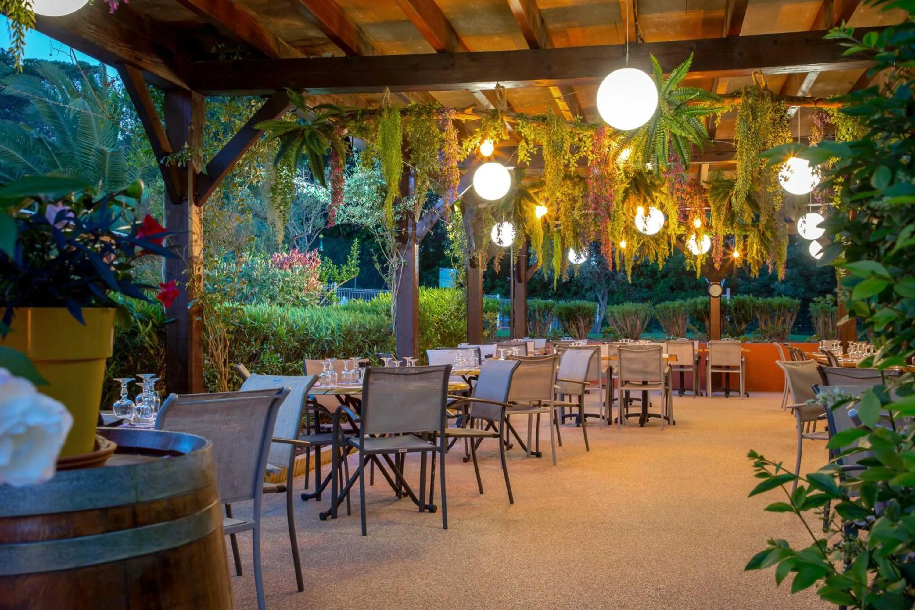 Les Pins Blancs en Provence