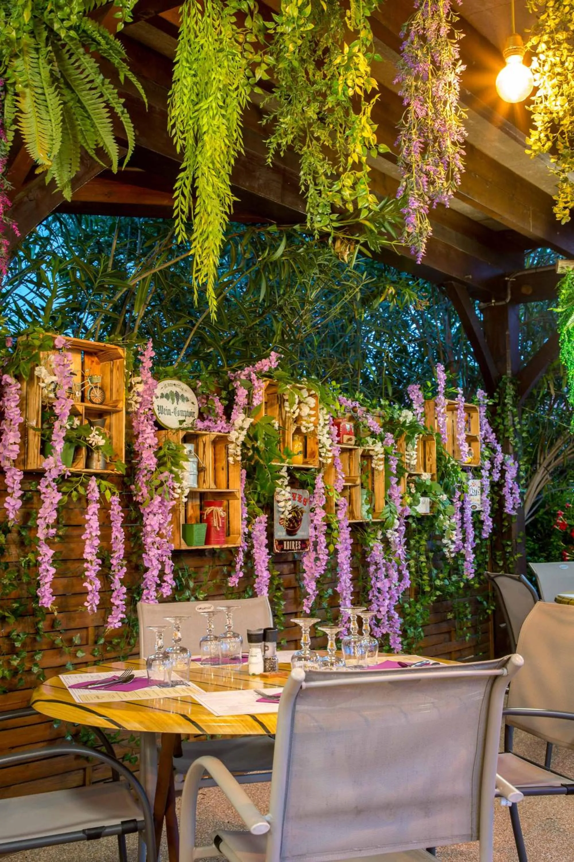 Les Pins Blancs en Provence