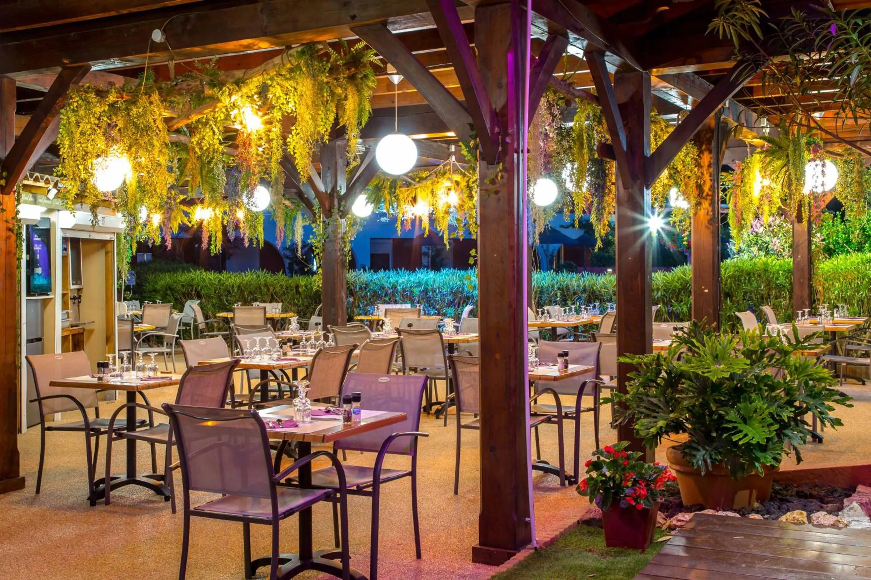 Les Pins Blancs en Provence