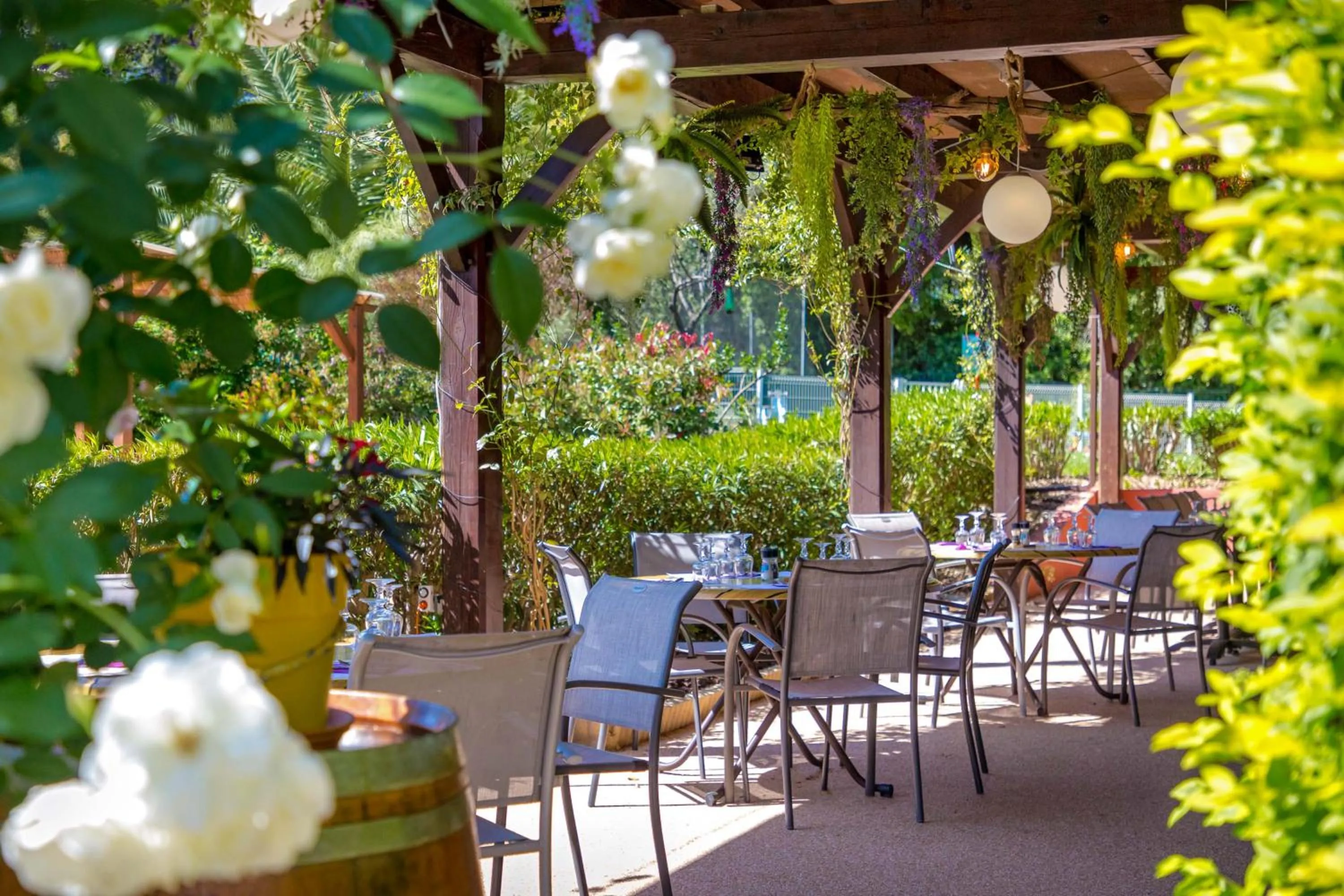 Les Pins Blancs en Provence