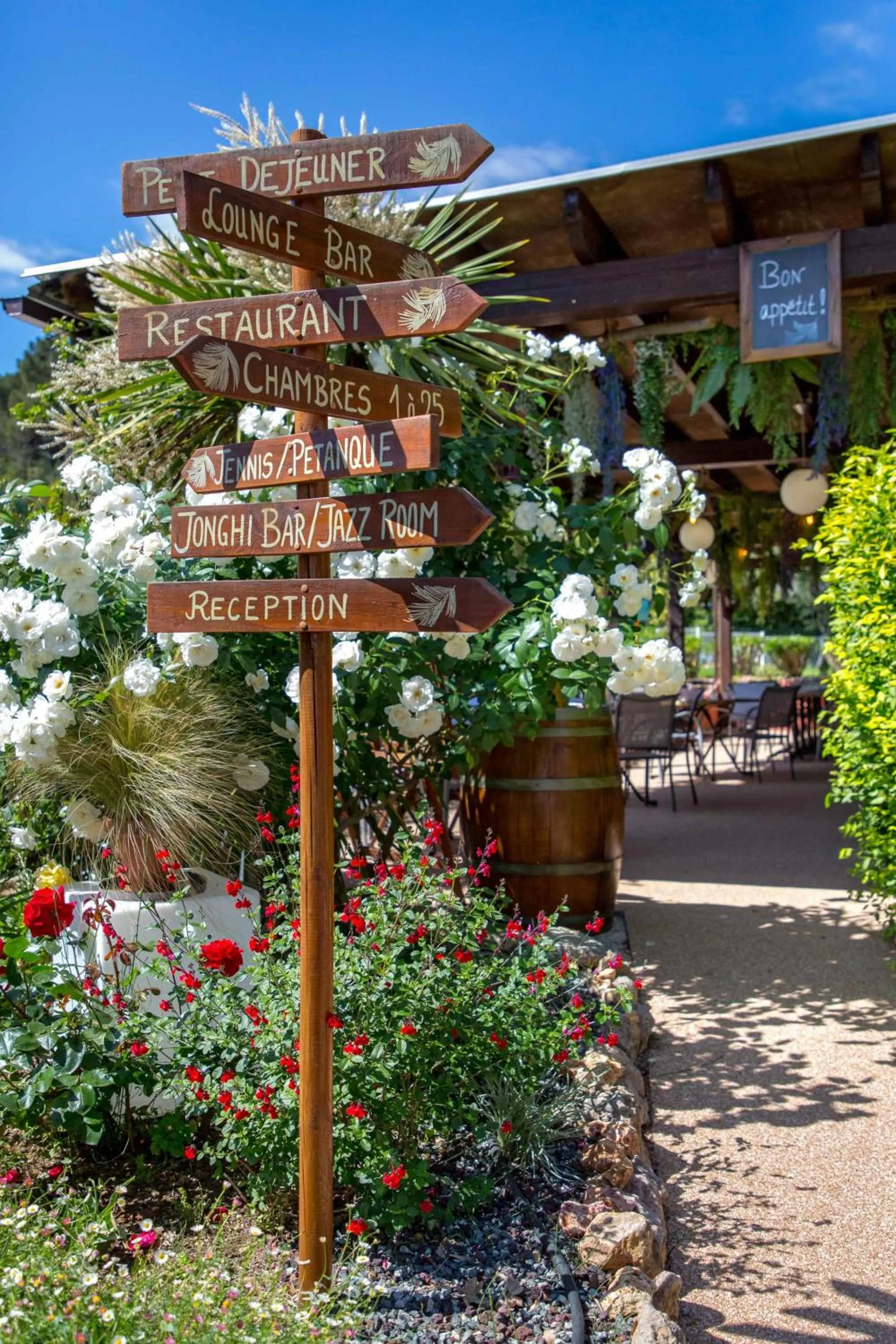 Les Pins Blancs en Provence