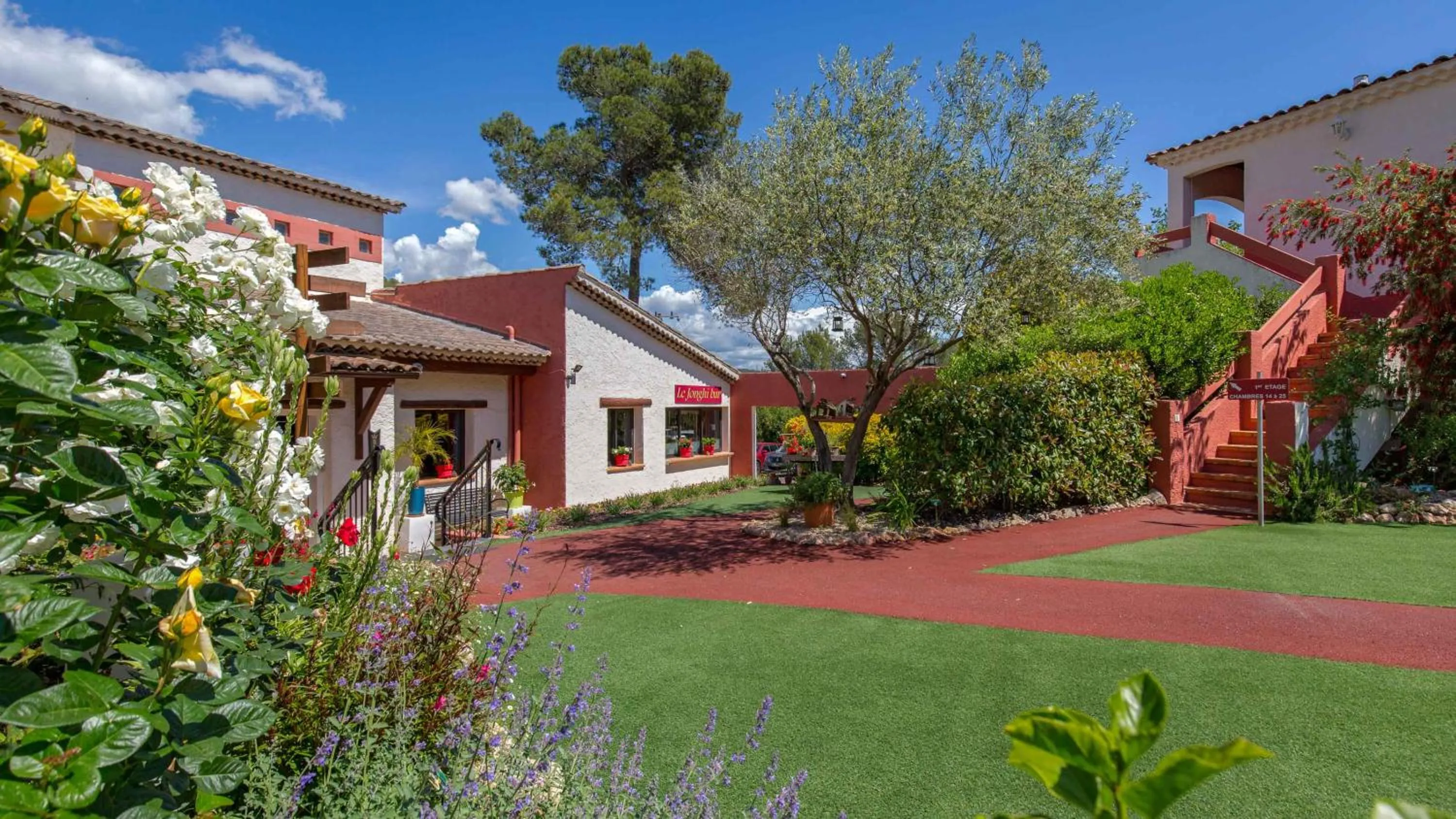 Les Pins Blancs en Provence