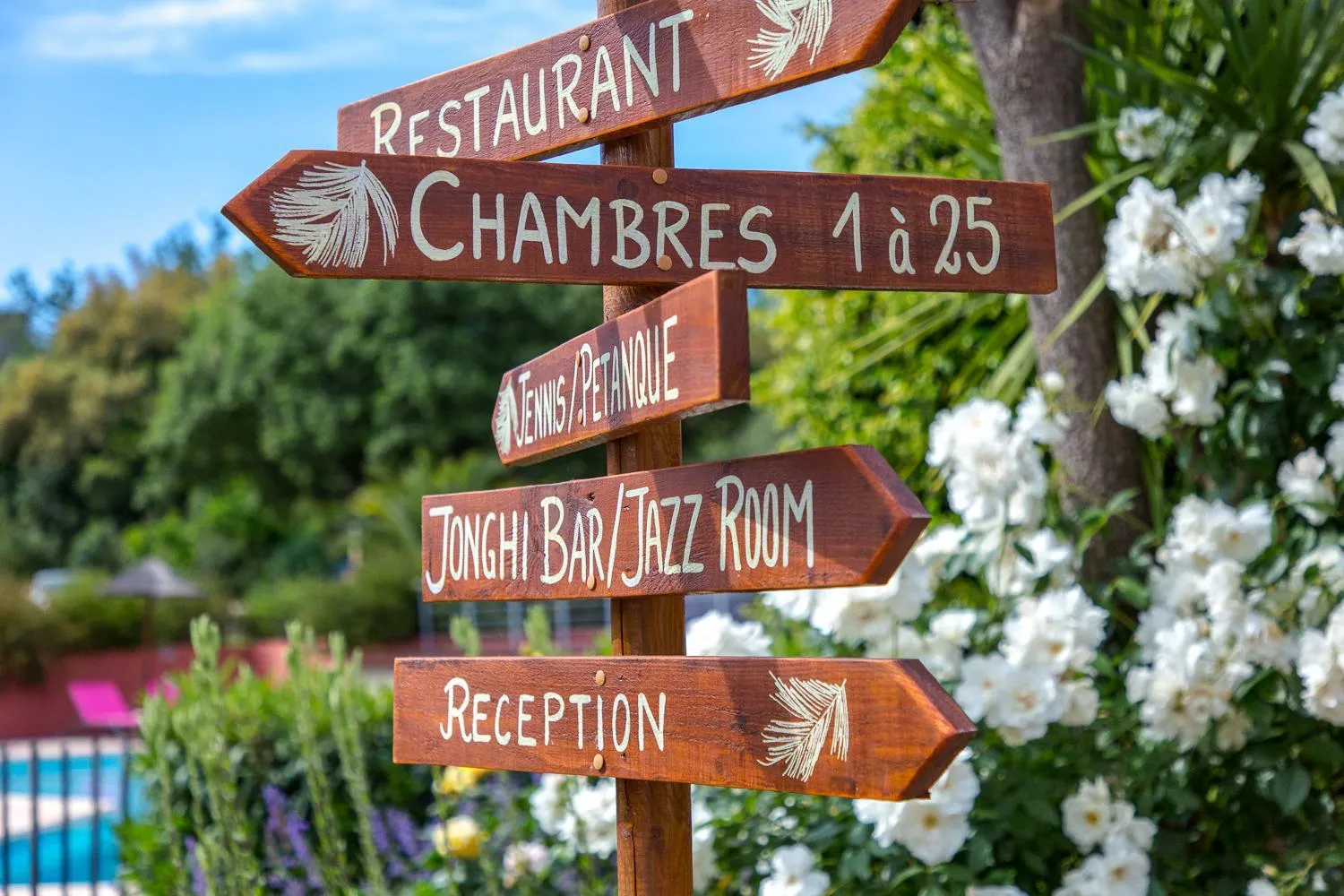 Garden in Les Pins Blancs en Provence