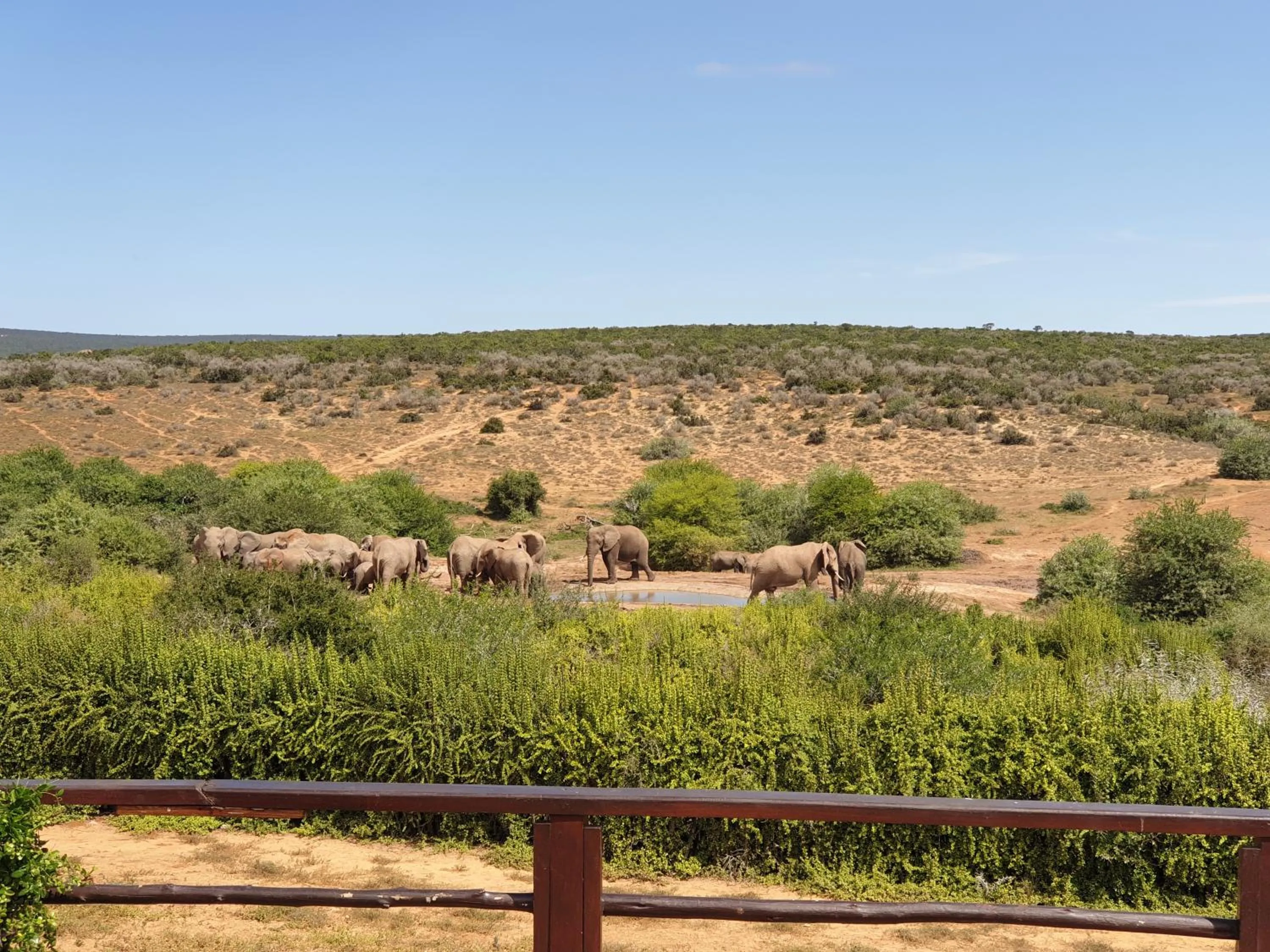 Activities in Rosedale Organic Farm Bed & Breakfast