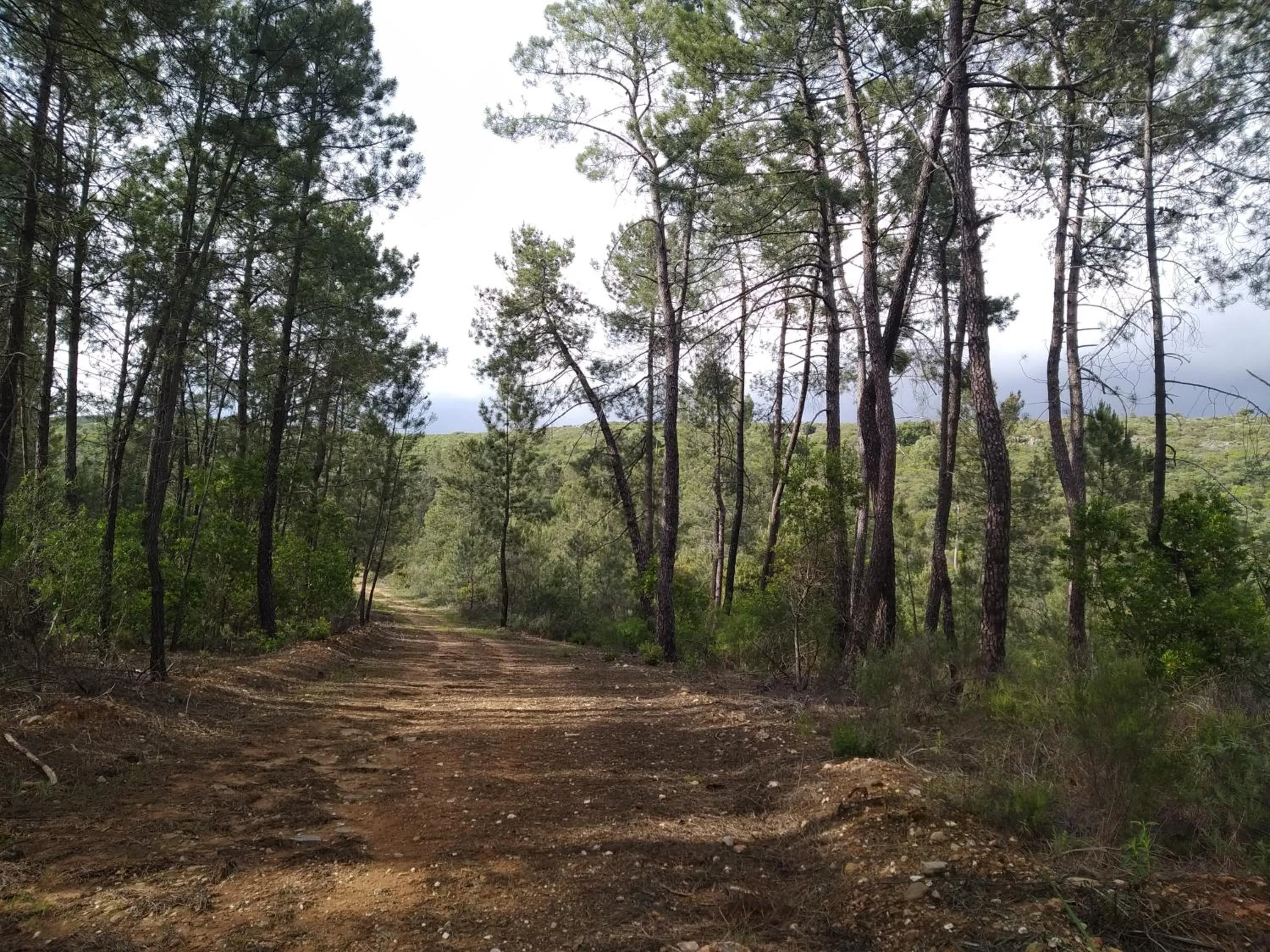 Hotel Boavista - Vintage House