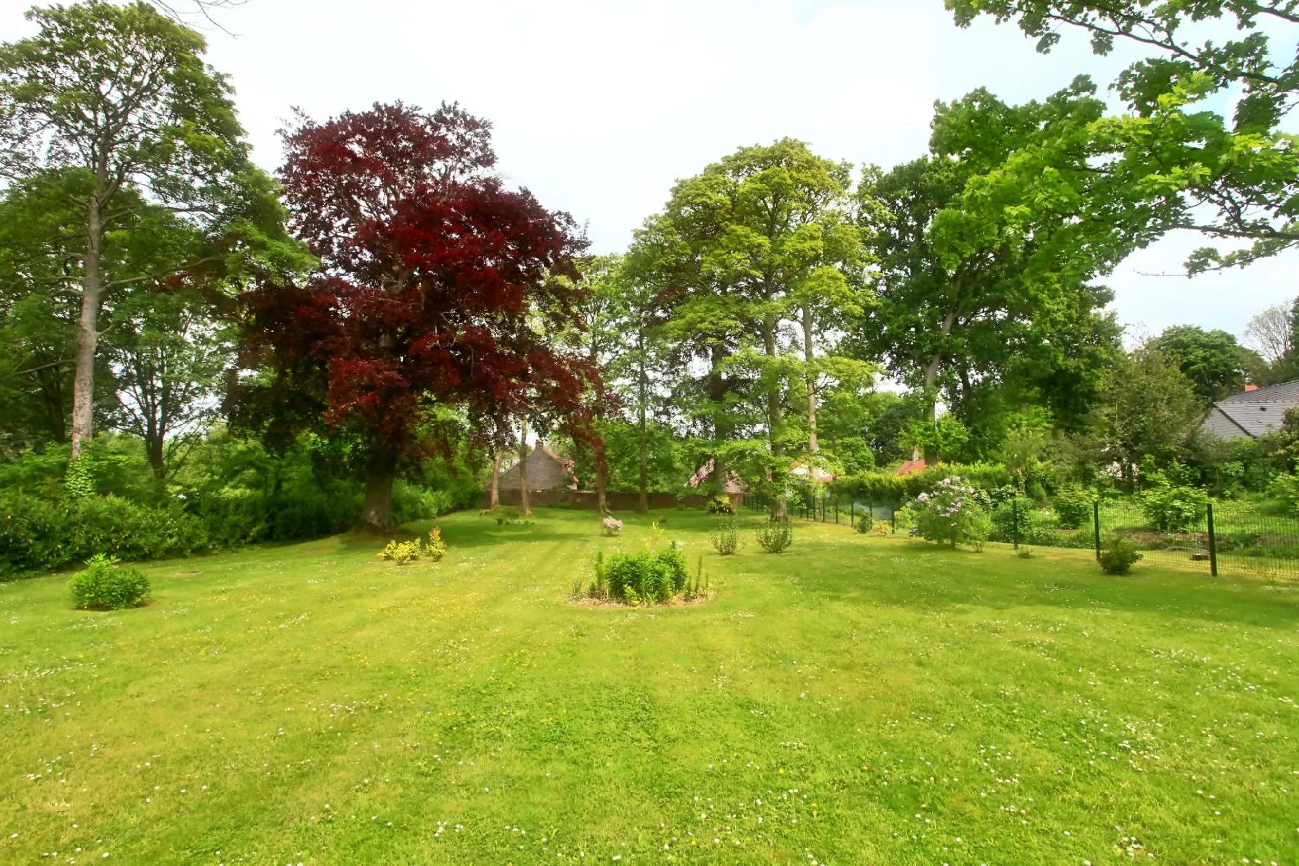 Natural landscape in Château de Moulin-le-Comte