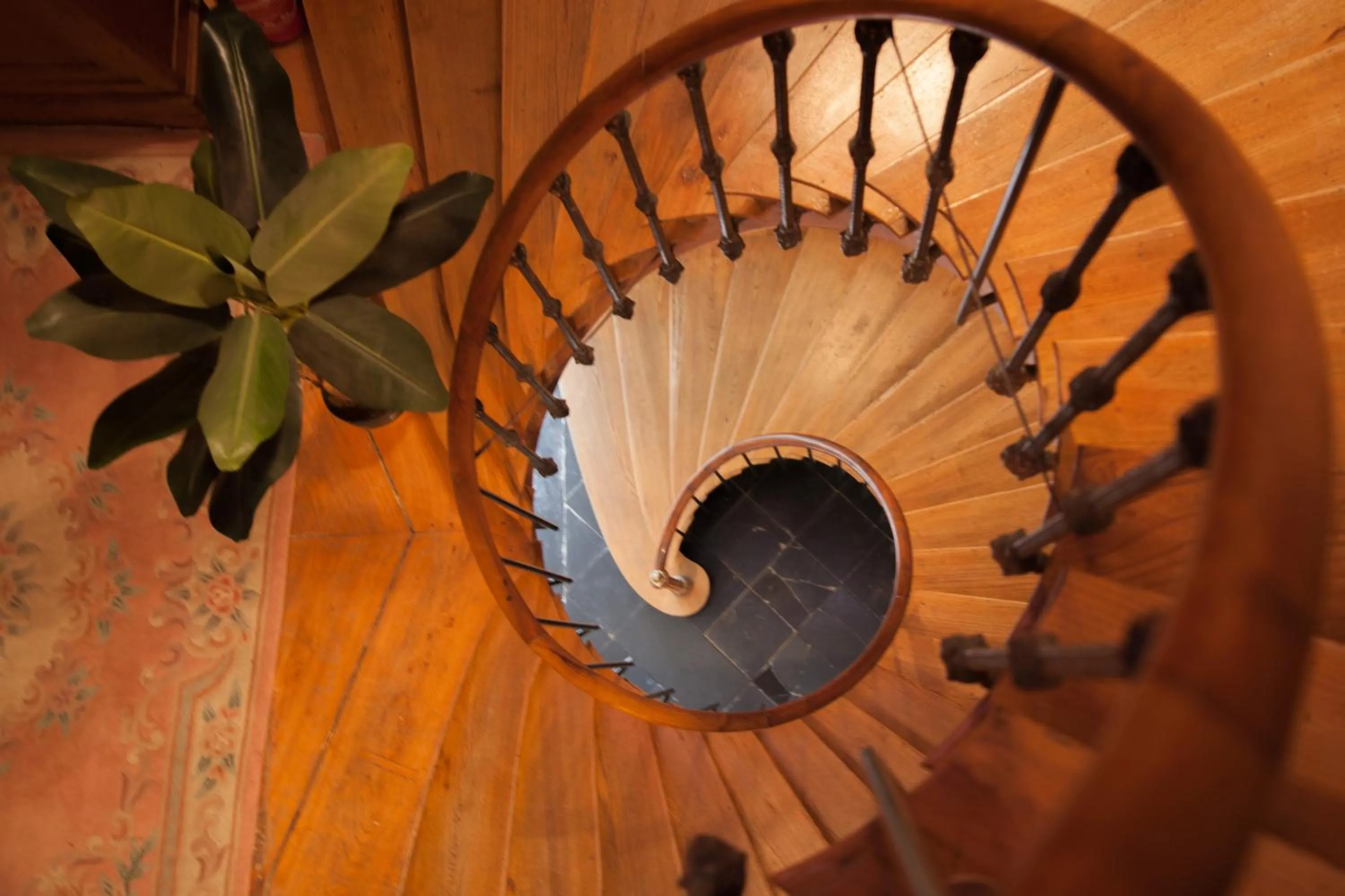Lobby or reception in Château de Moulin-le-Comte