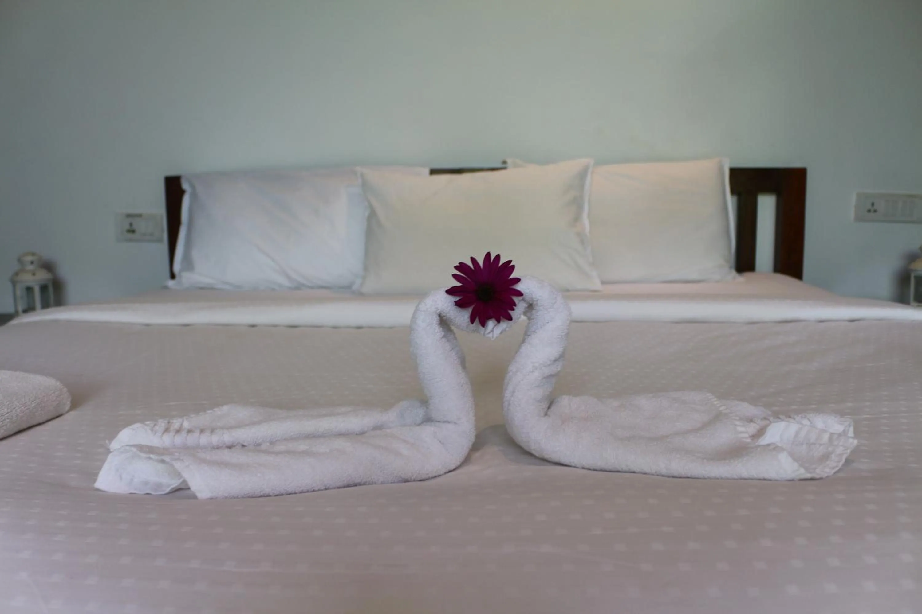 Bed in Logan Camp Ooty