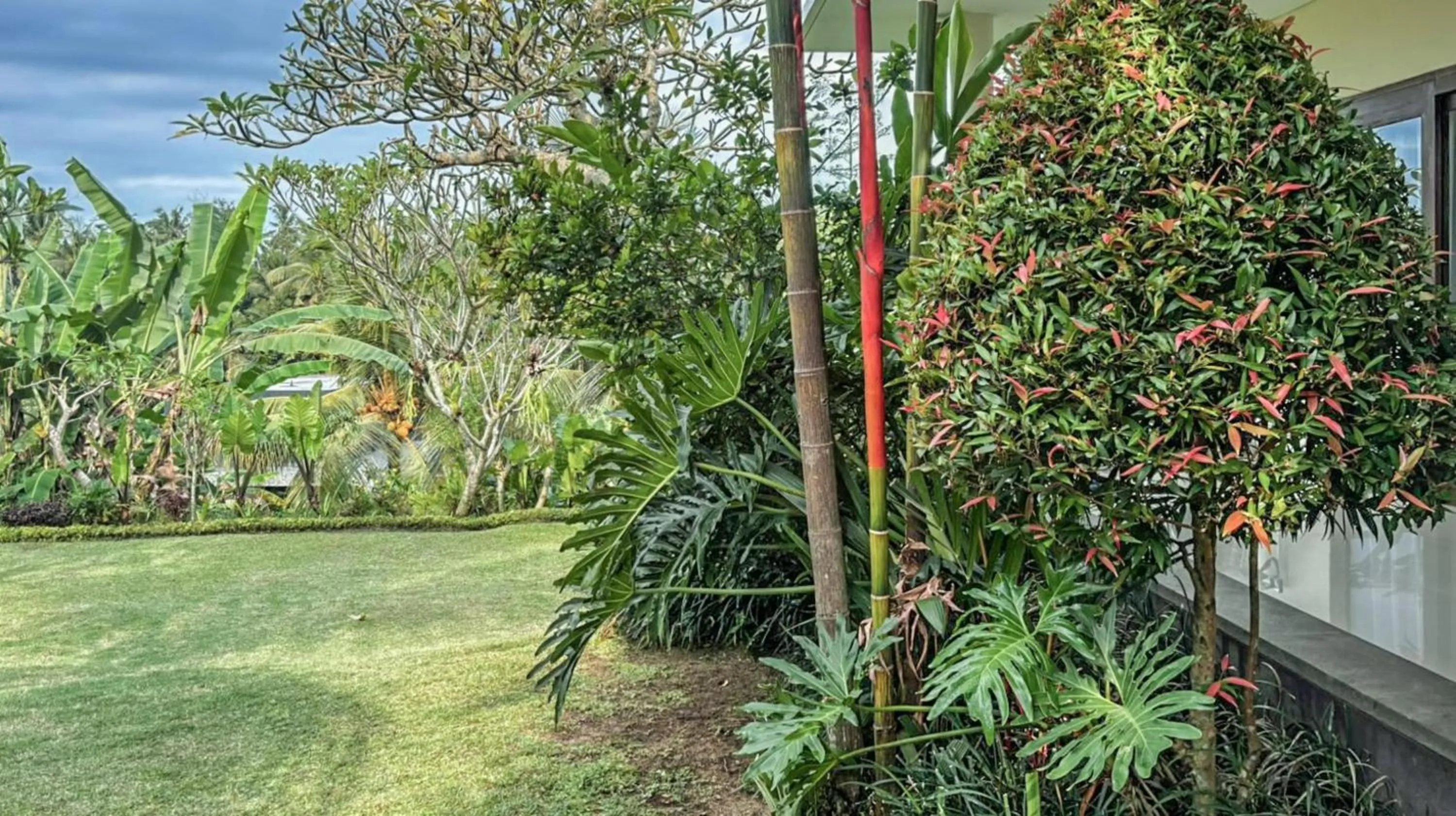 Spring in DLobong Suites Ubud