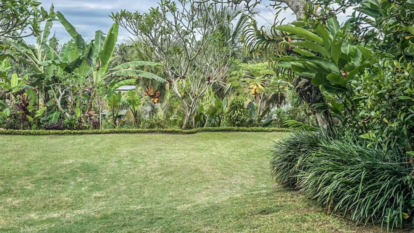 View (from property/room) in DLobong Suites Ubud