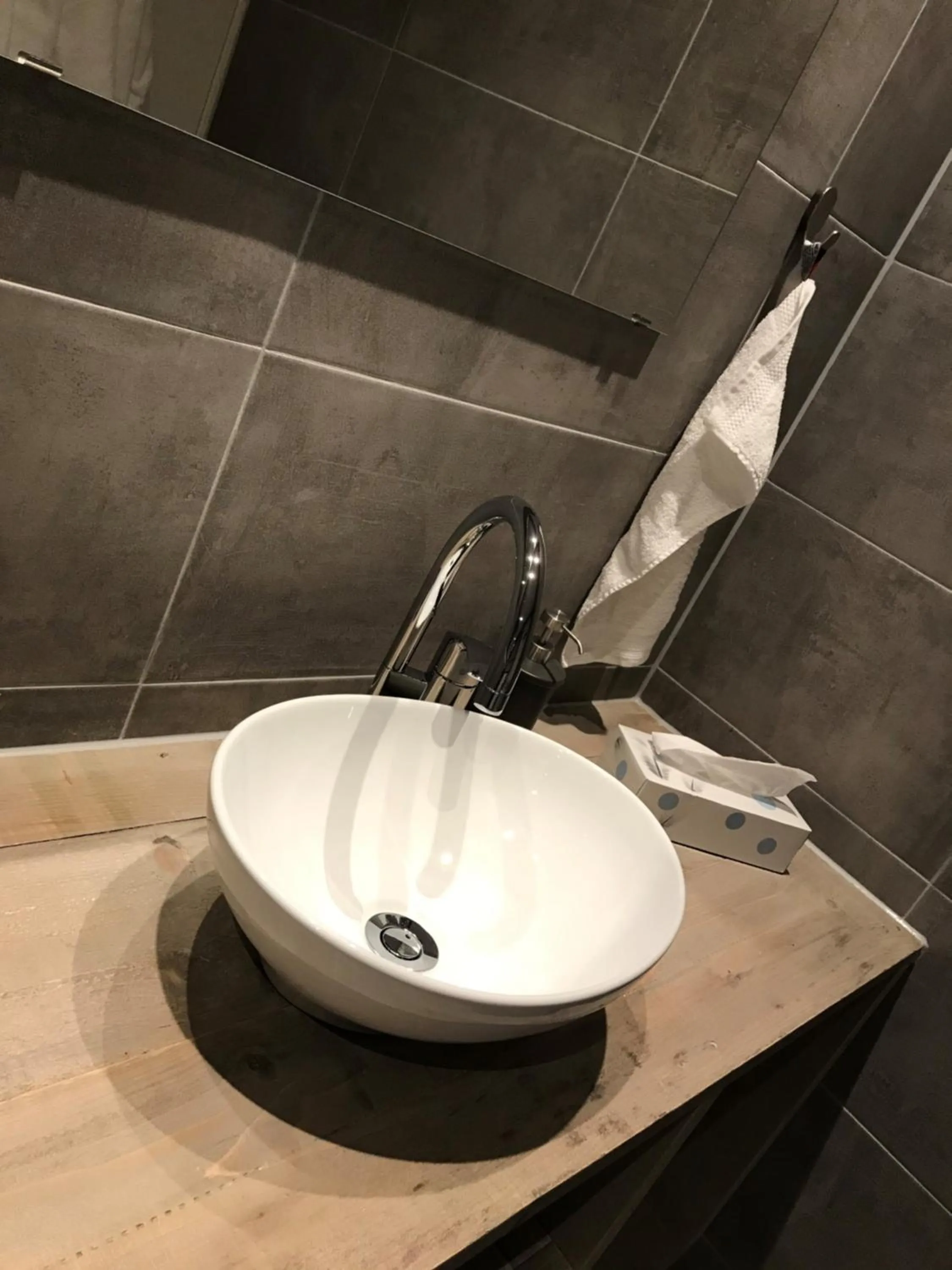 Bathroom in Gastenverblijf Rodenburg