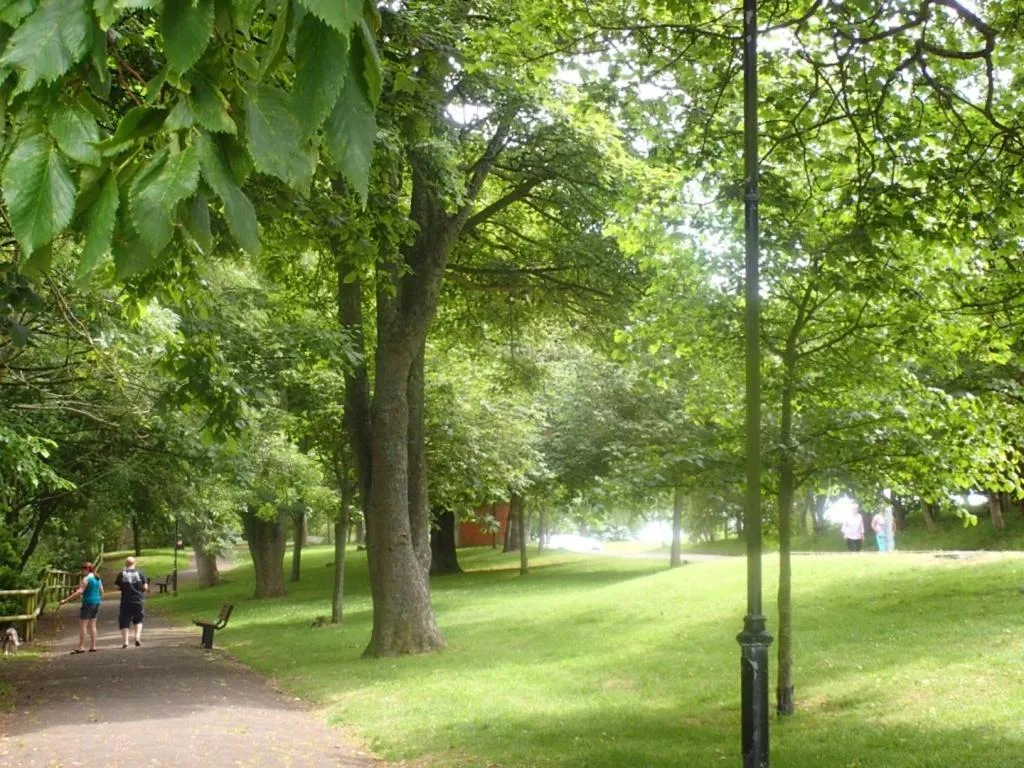 Natural landscape in Driftwood B&B Weymouth