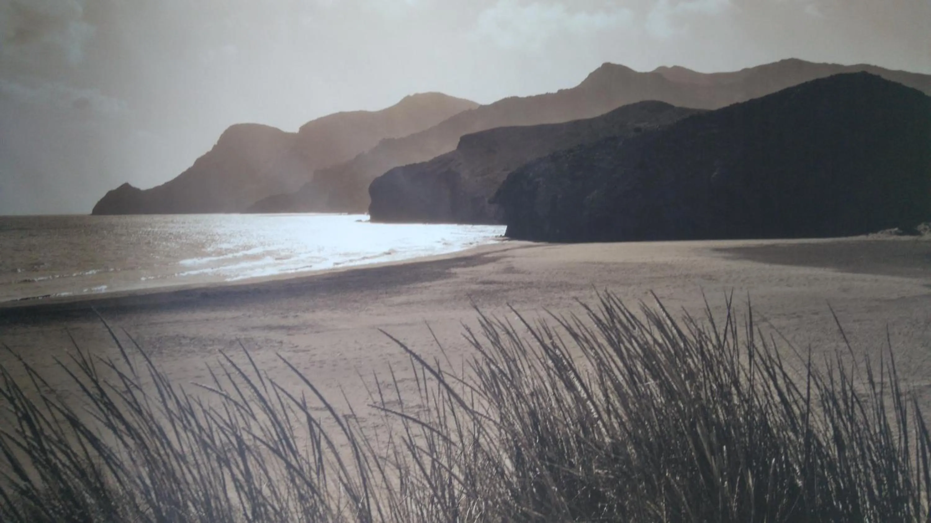 Decorative detail in Driftwood B&B Weymouth