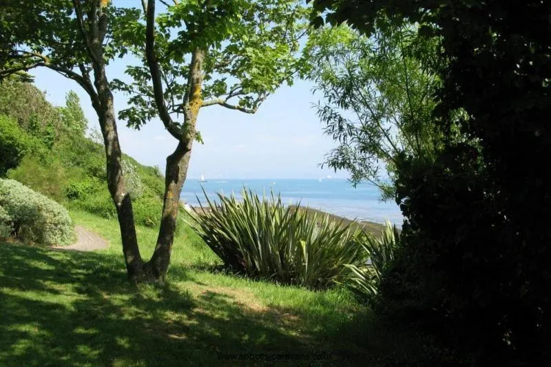 Natural landscape in Driftwood B&B Weymouth