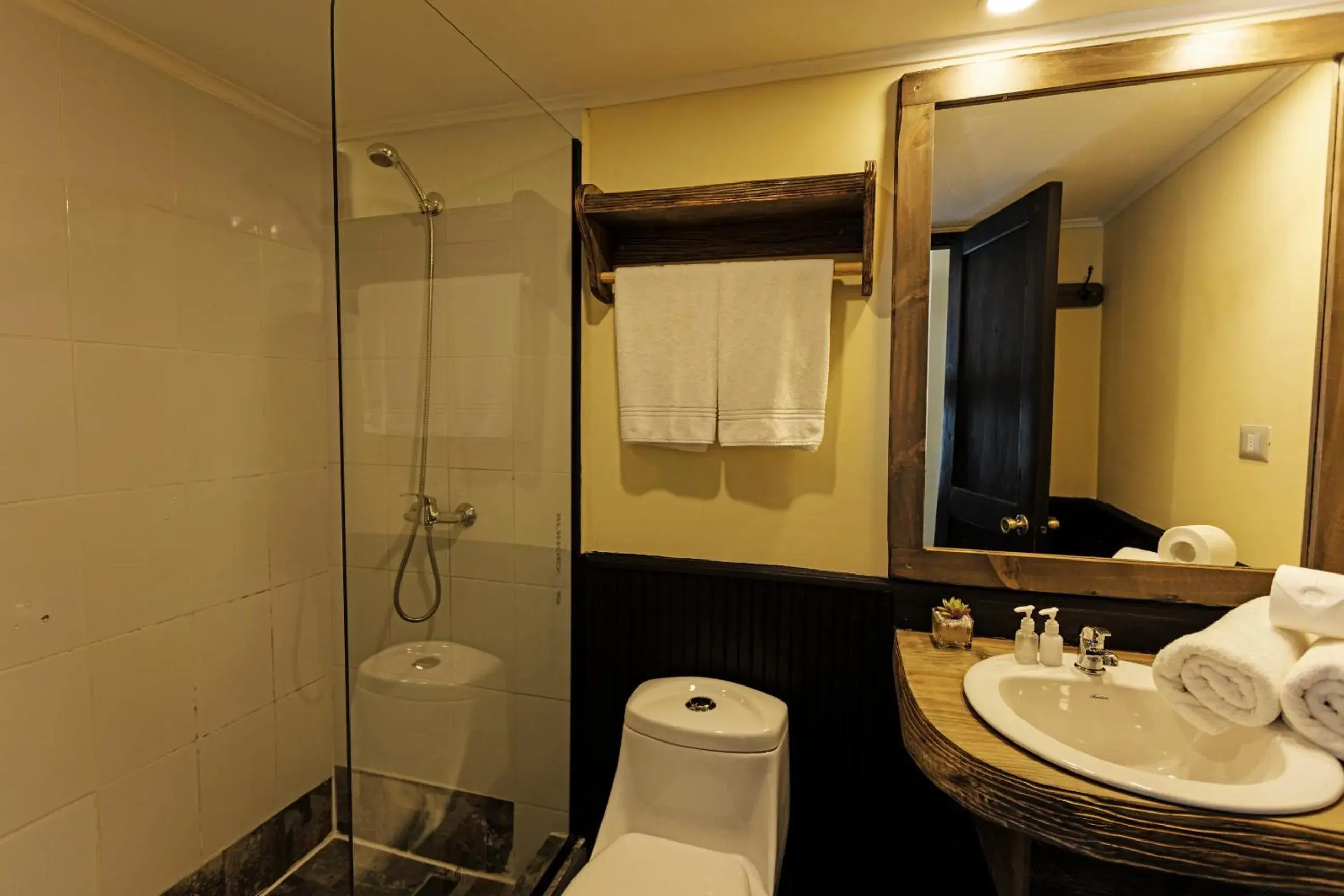 Double Room with Mountain View - single occupancy in Newen B&B Double Room with Mountain View - single occupancy in Newen B&B