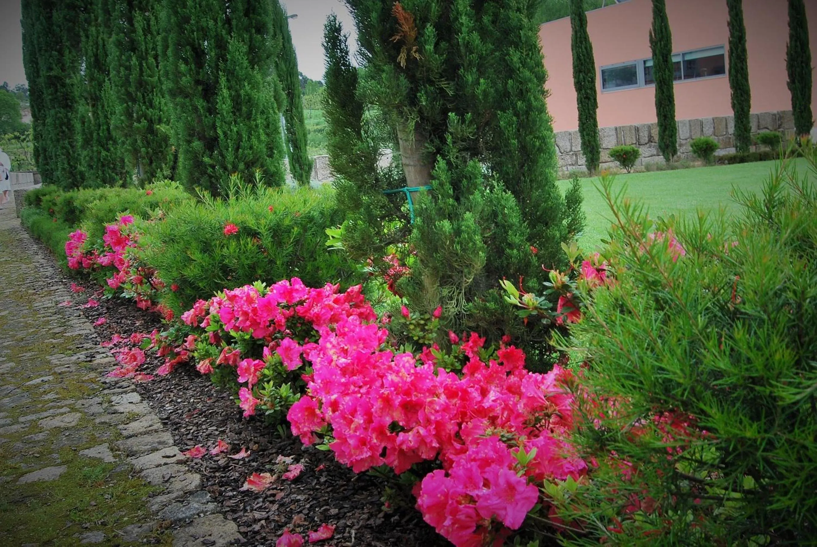 Garden in Hotel Quinta da Cruz & SPA