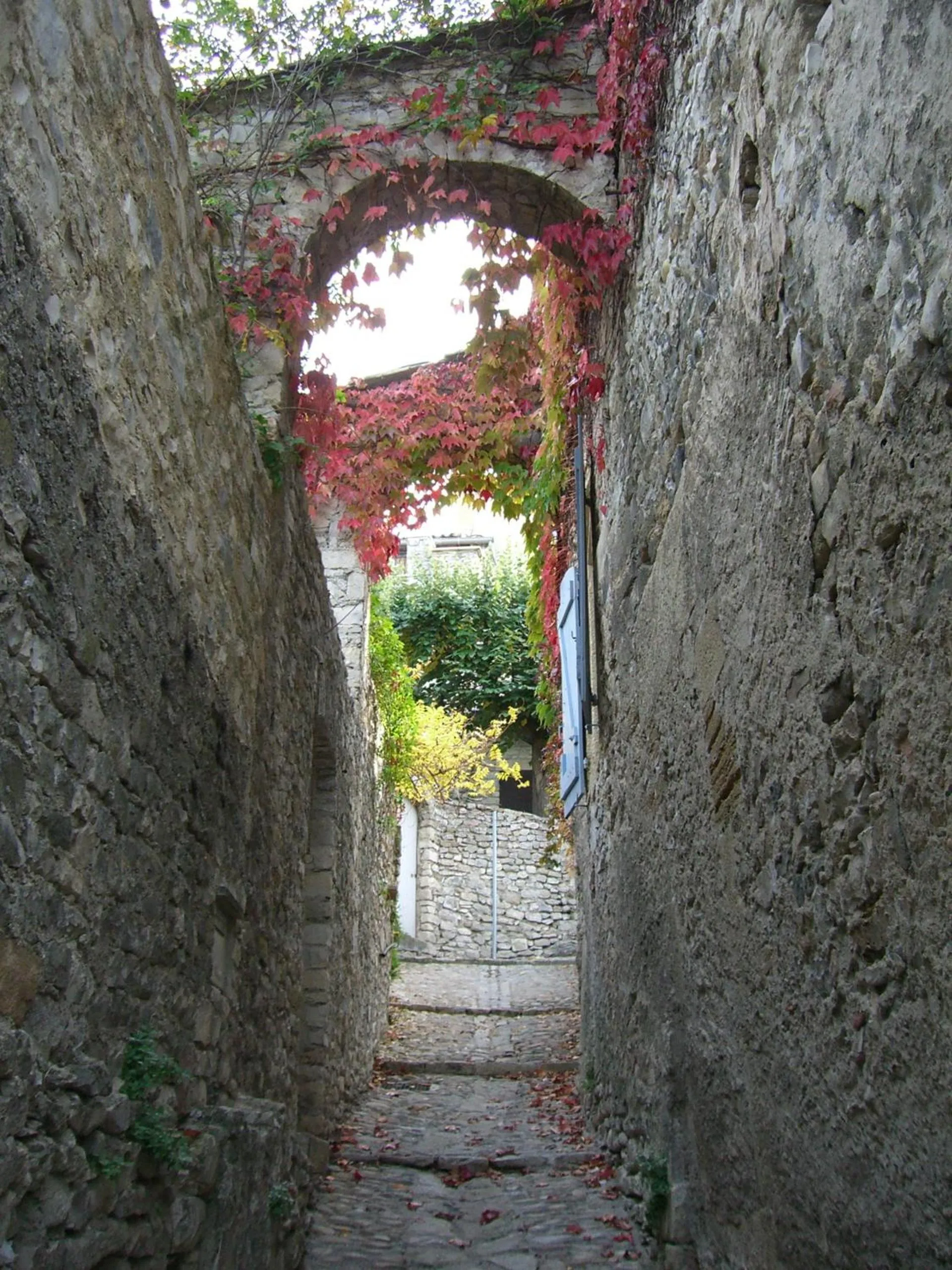 Area and facilities in Hostellerie Le Beffroi
