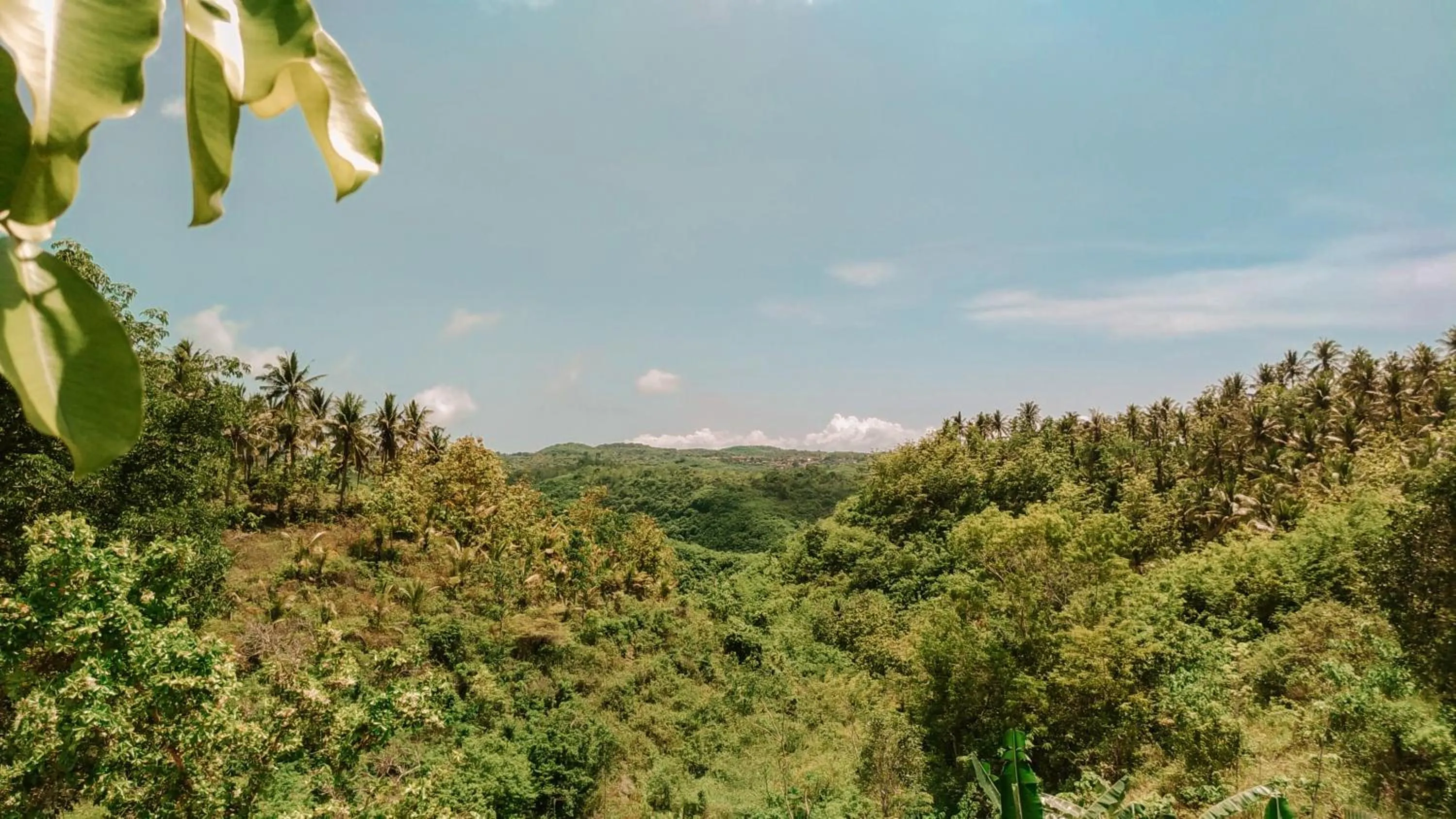 Natural landscape in Ginanthi Cottage