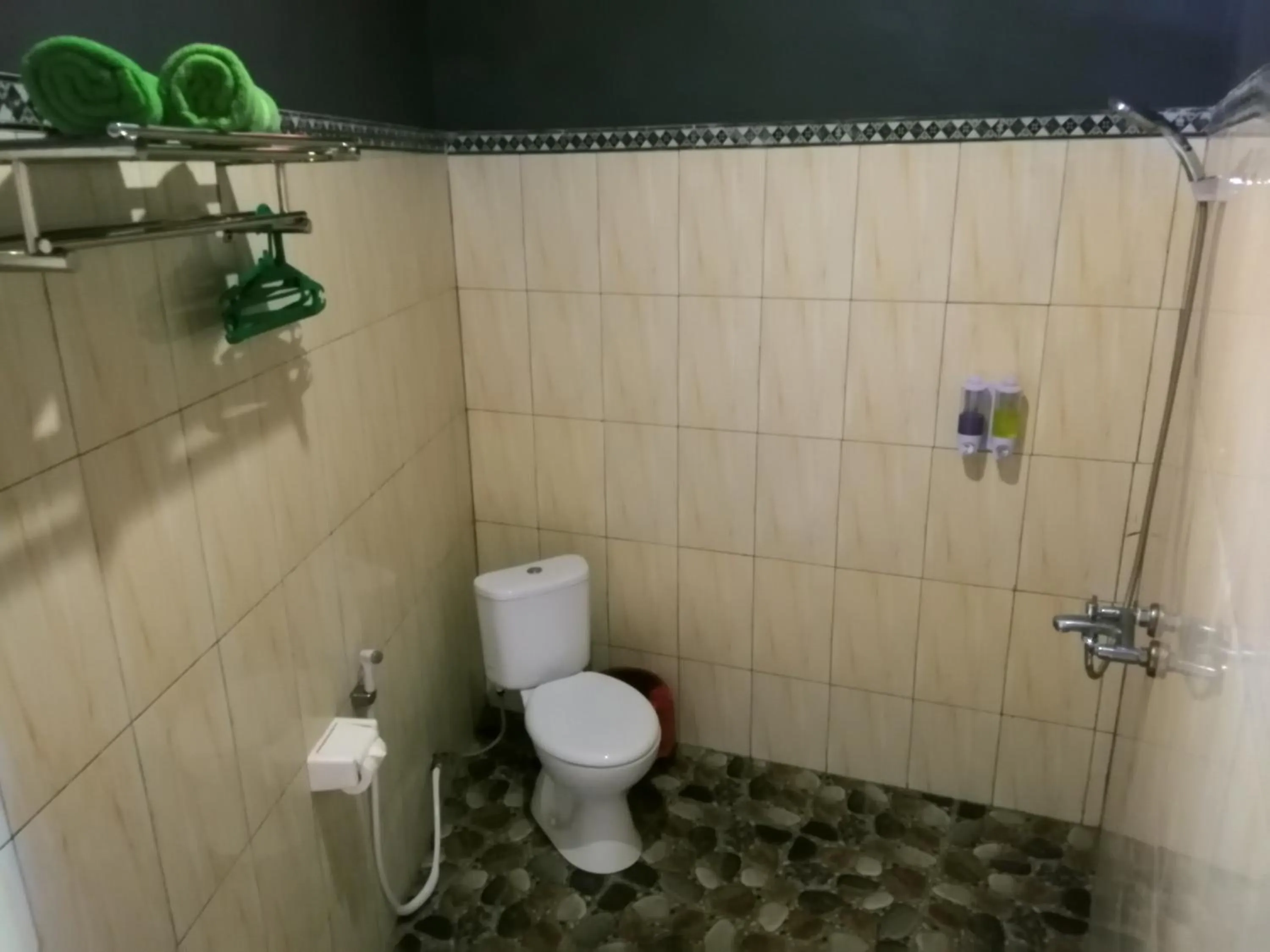 Shower in Ginanthi Cottage