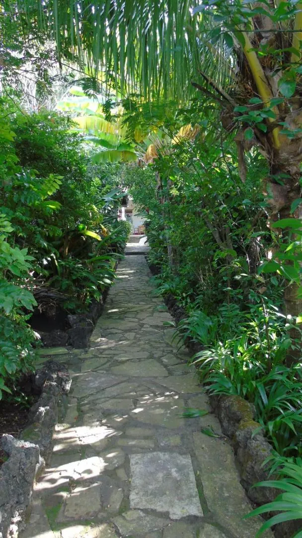 Patio in Hotel Casa Barcelona