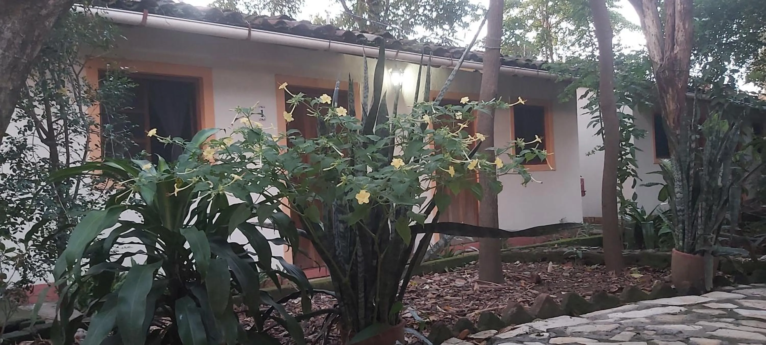 Property building in Hotel Casa Barcelona