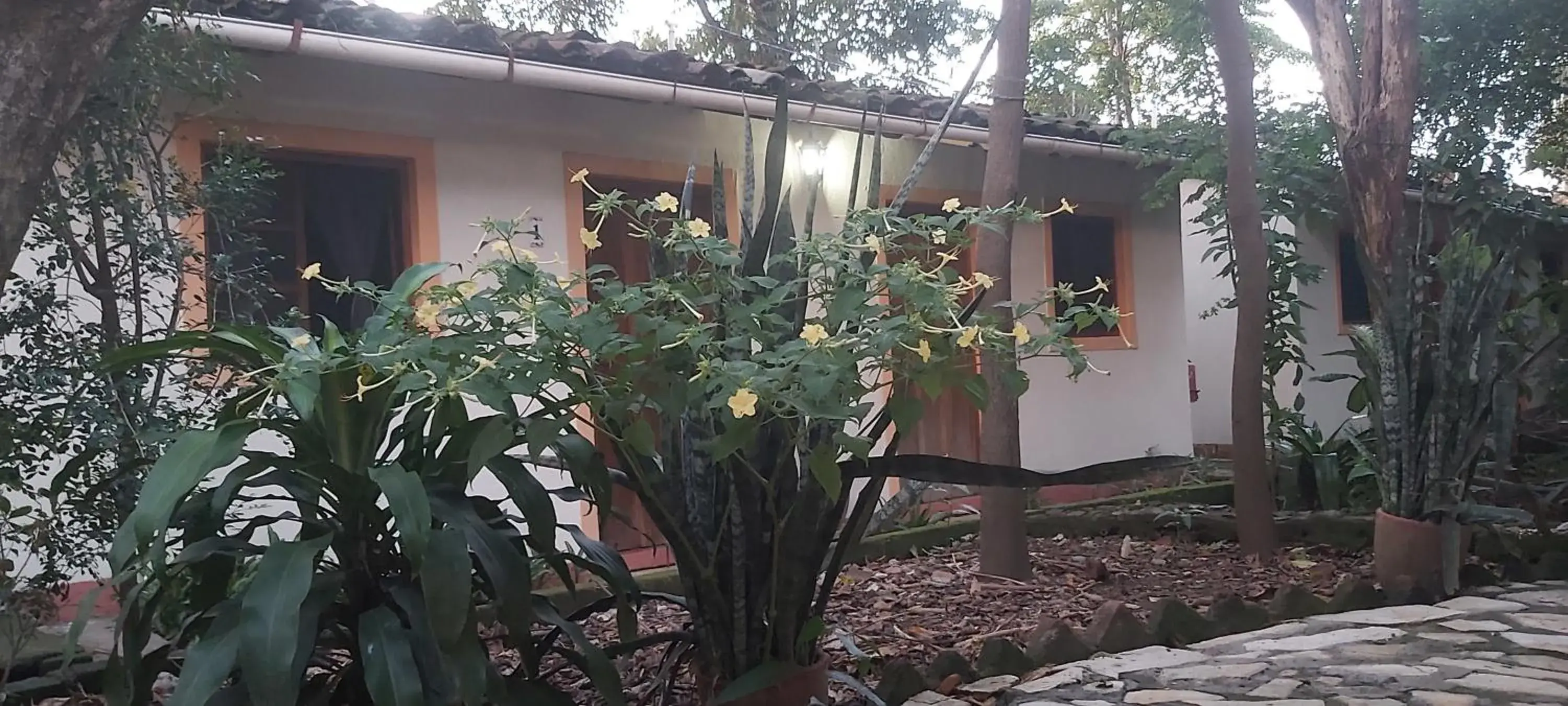 Family Room (6 Adults) in Hotel Casa Barcelona Family Room (6 Adults) in Hotel Casa Barcelona