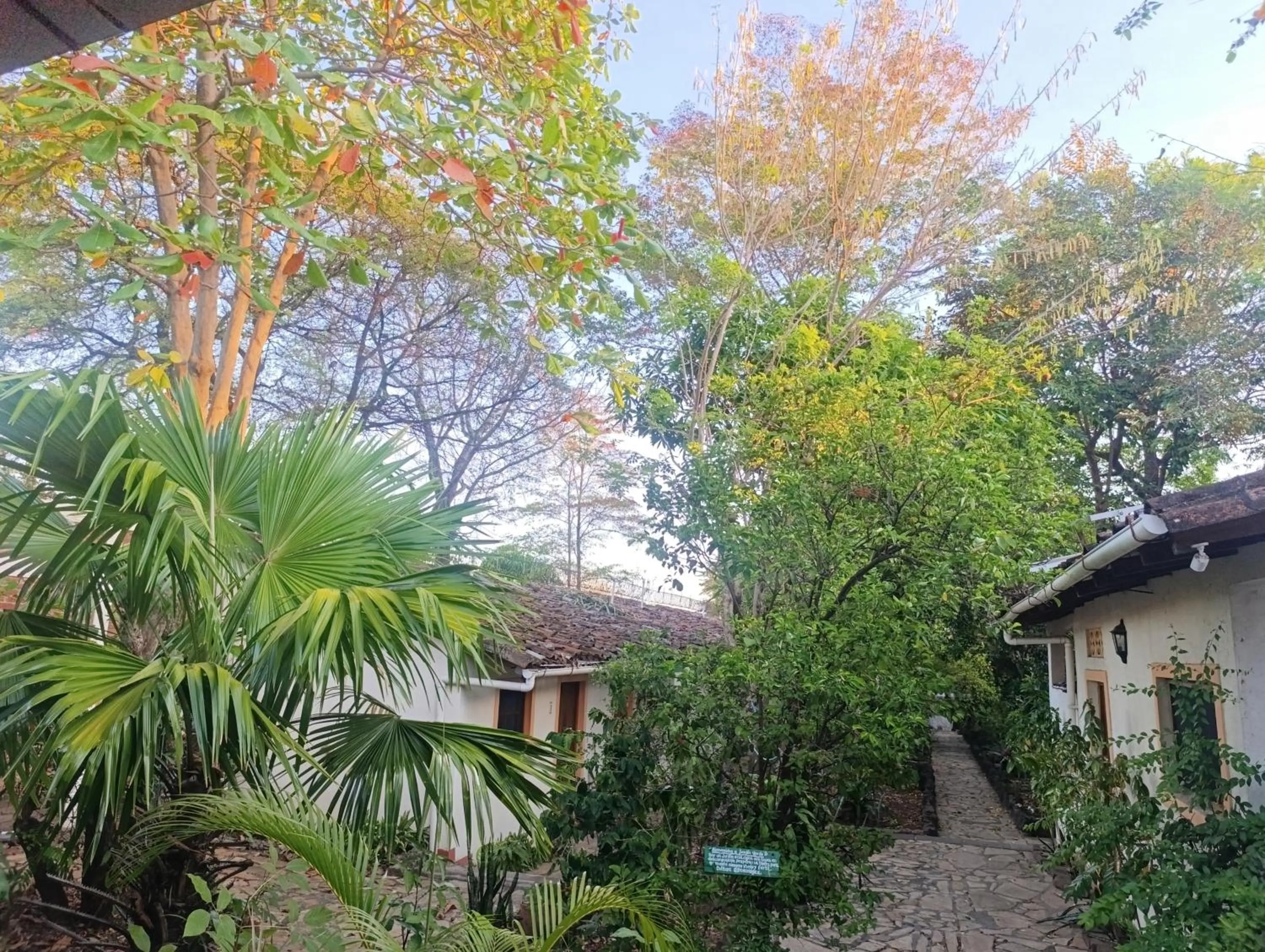 Garden in Hotel Casa Barcelona