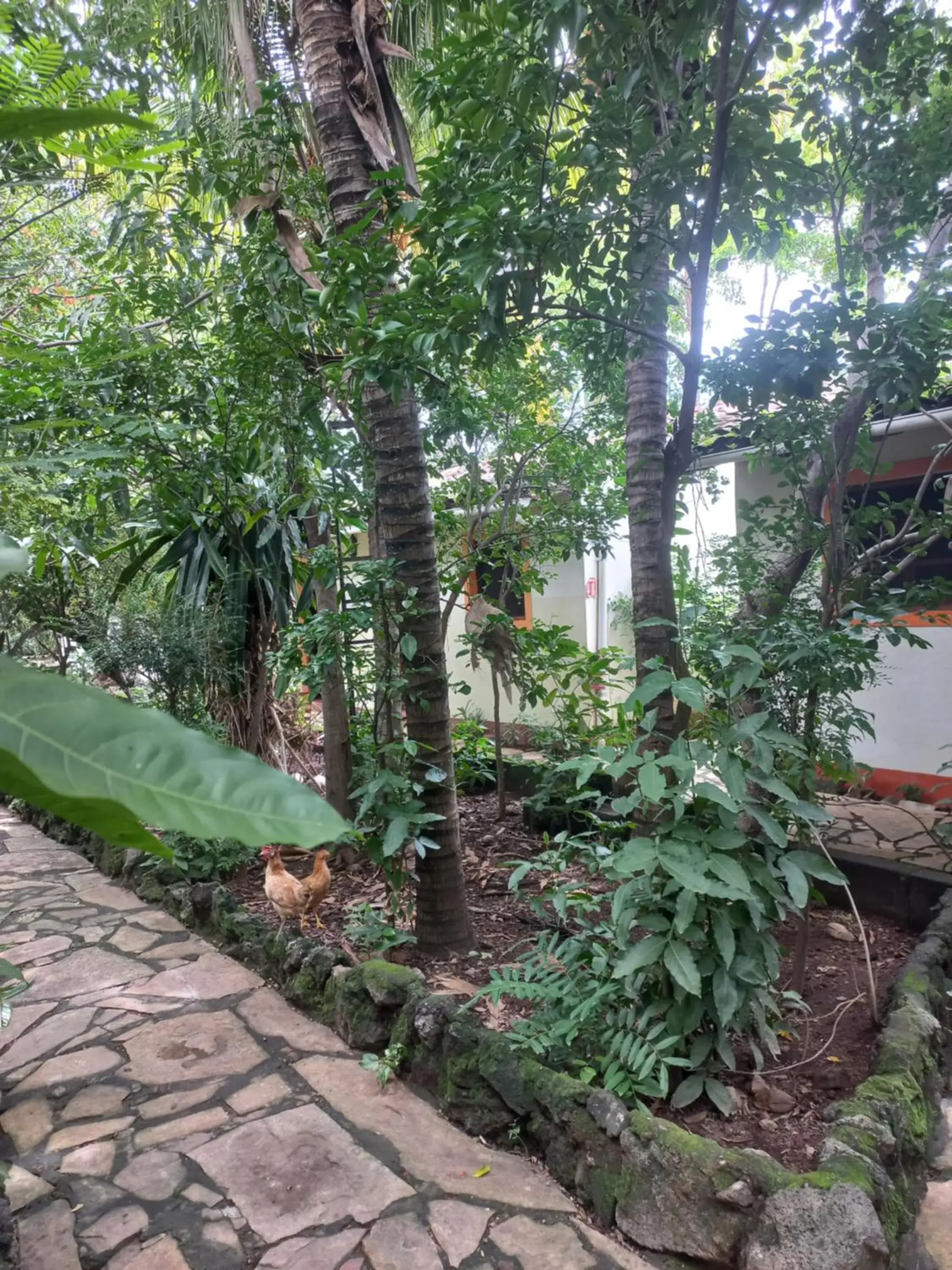 Standard Triple Room in Hotel Casa Barcelona Standard Triple Room in Hotel Casa Barcelona