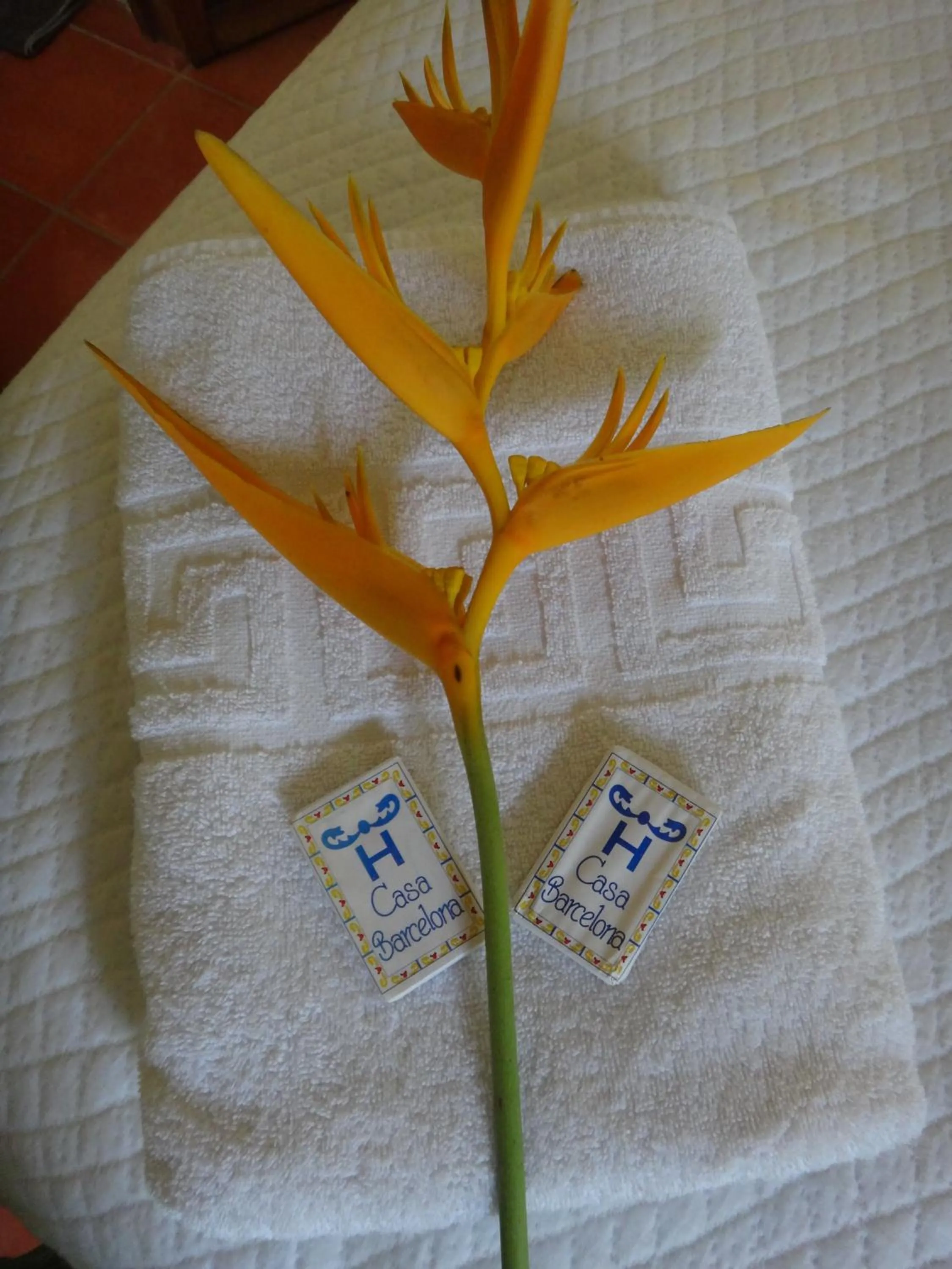 Other in Hotel Casa Barcelona