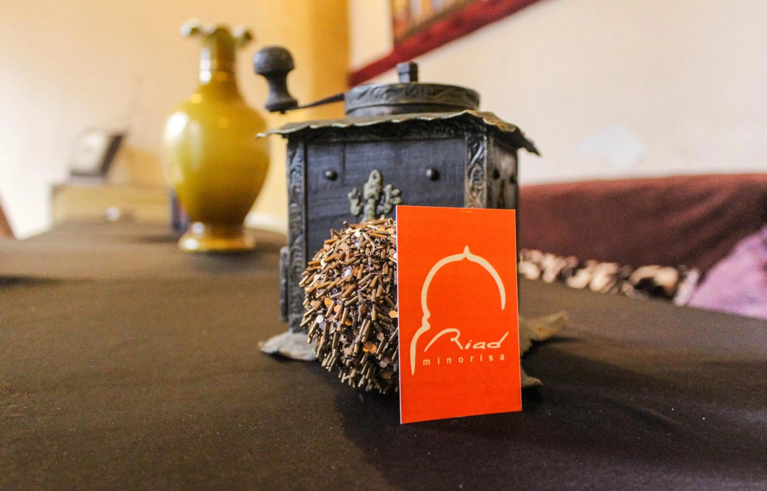 Riad Minorisa