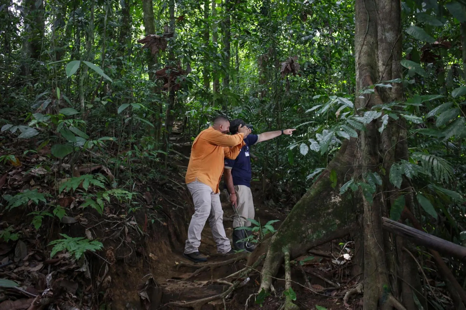 Bird's eye view in Hotel Punta Leona