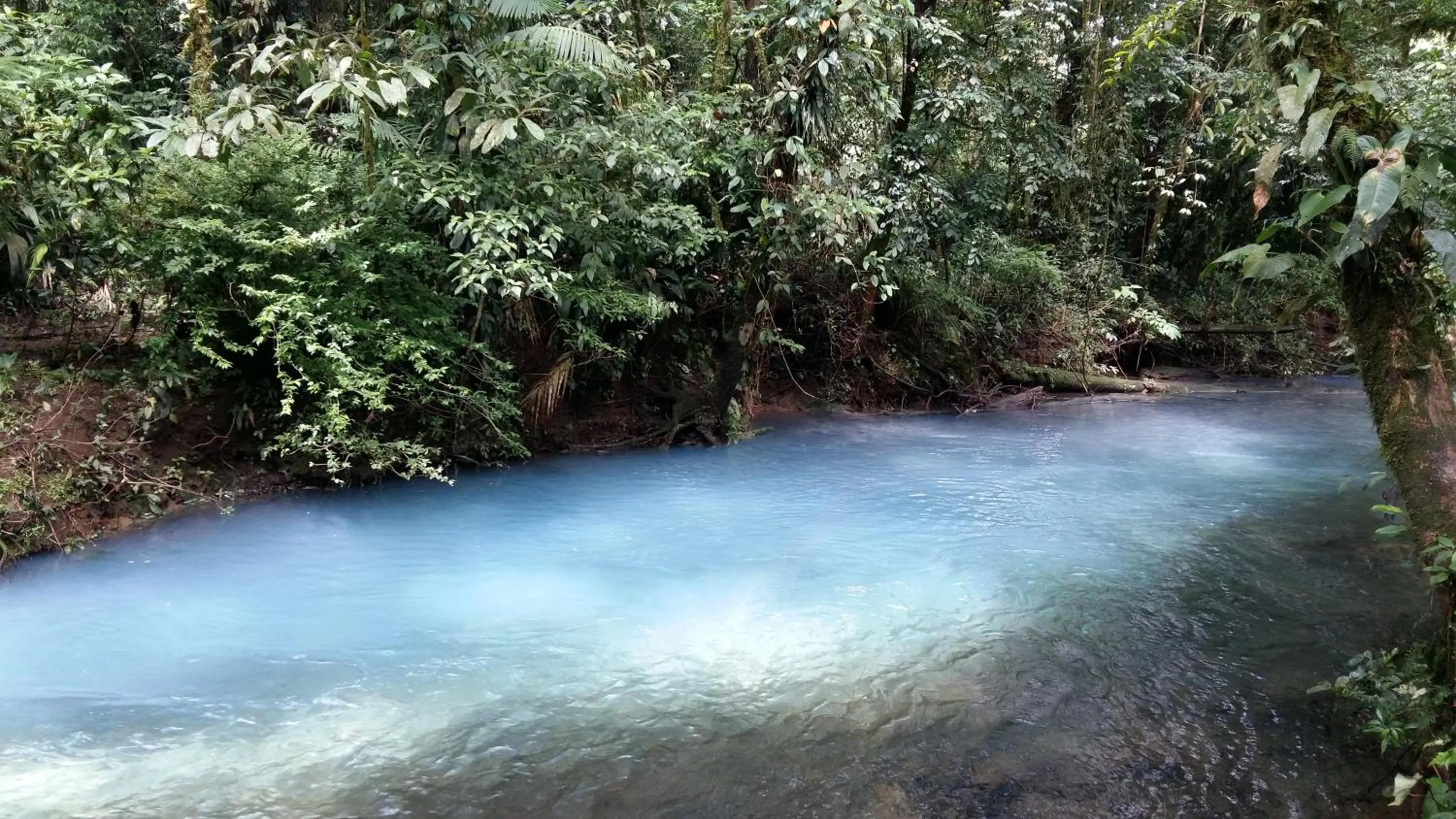 Natural landscape in Celeste Mountain Lodge