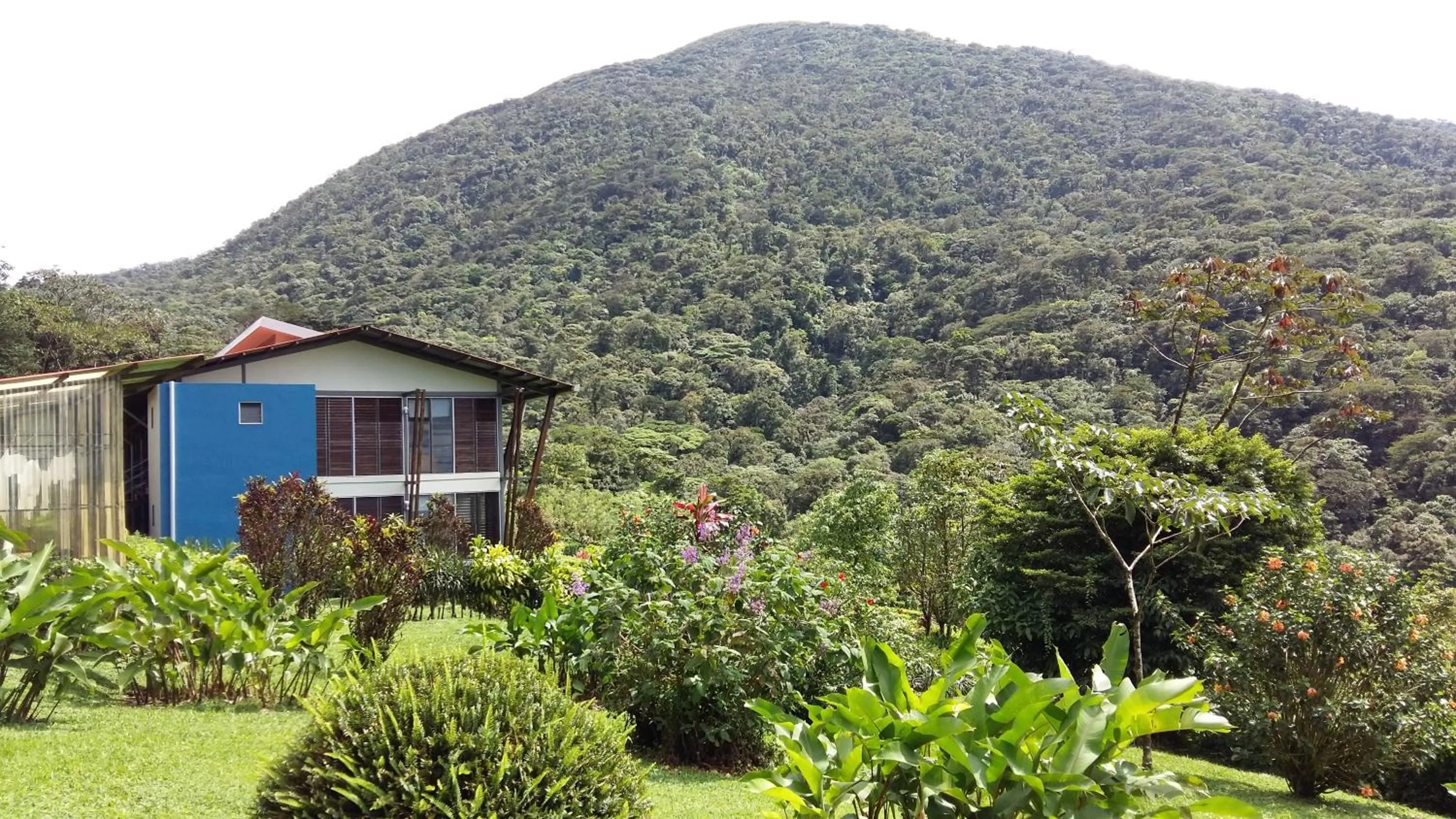 Property building in Celeste Mountain Lodge