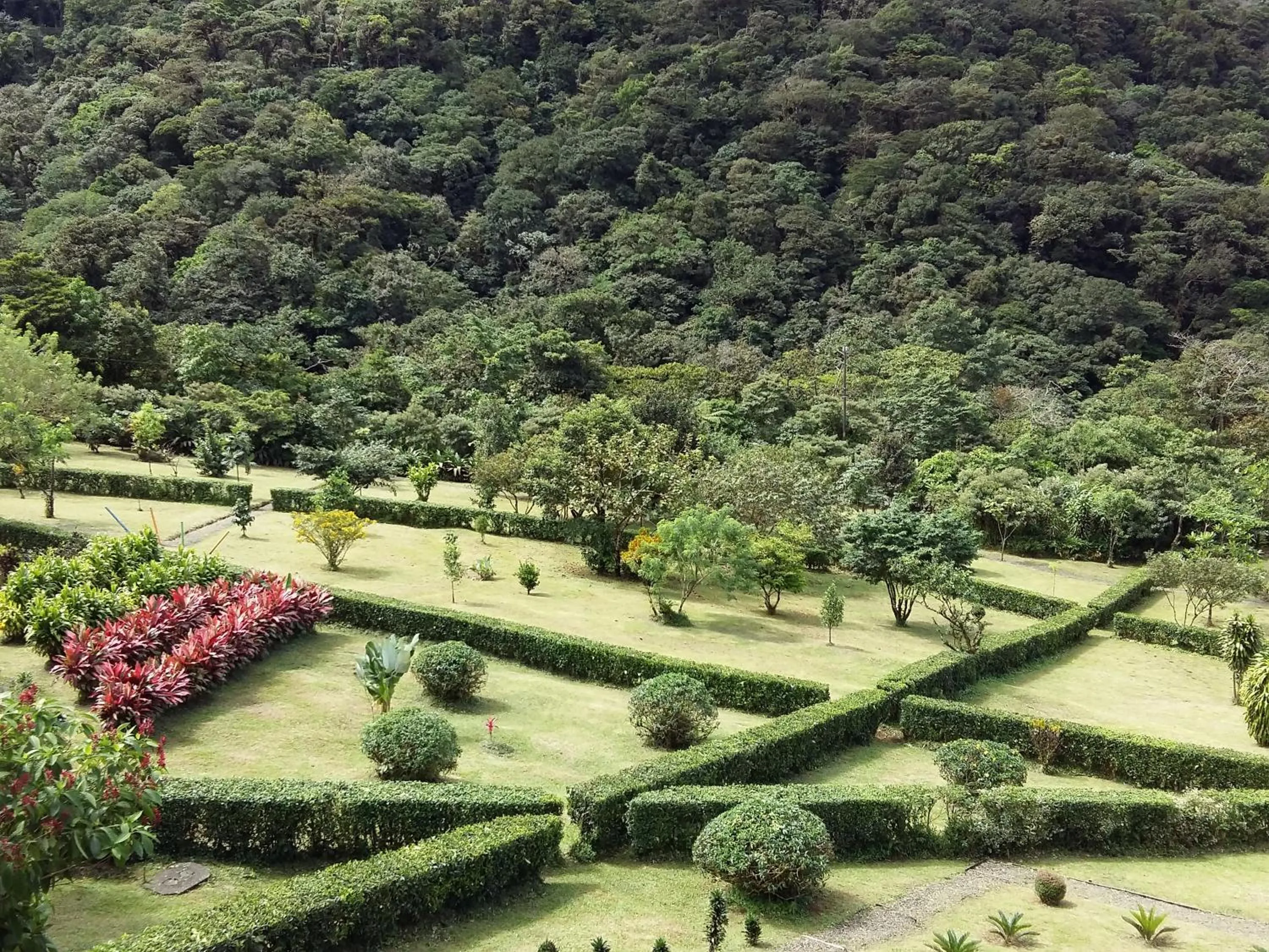 Day in Celeste Mountain Lodge