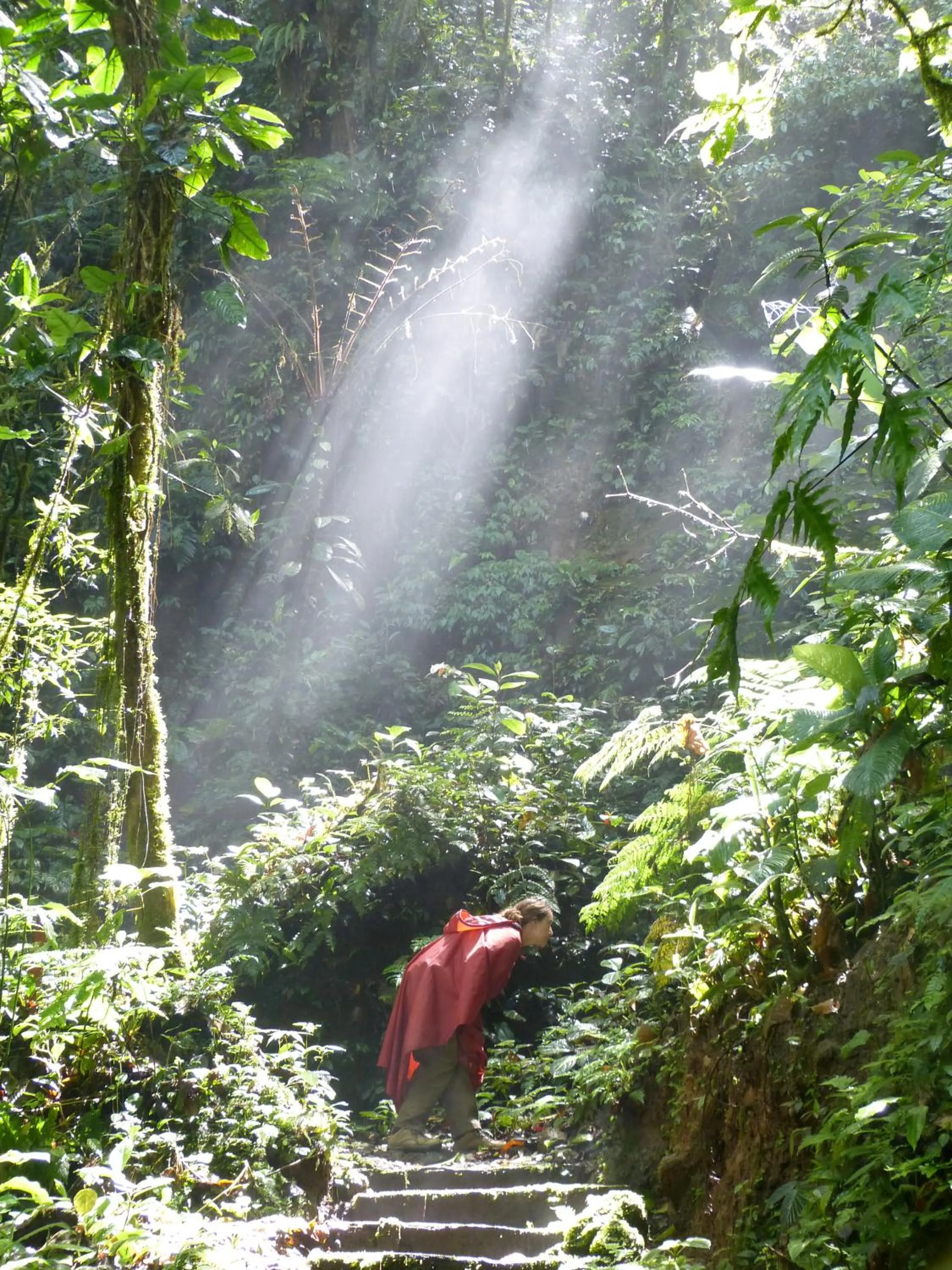 Hiking in Celeste Mountain Lodge