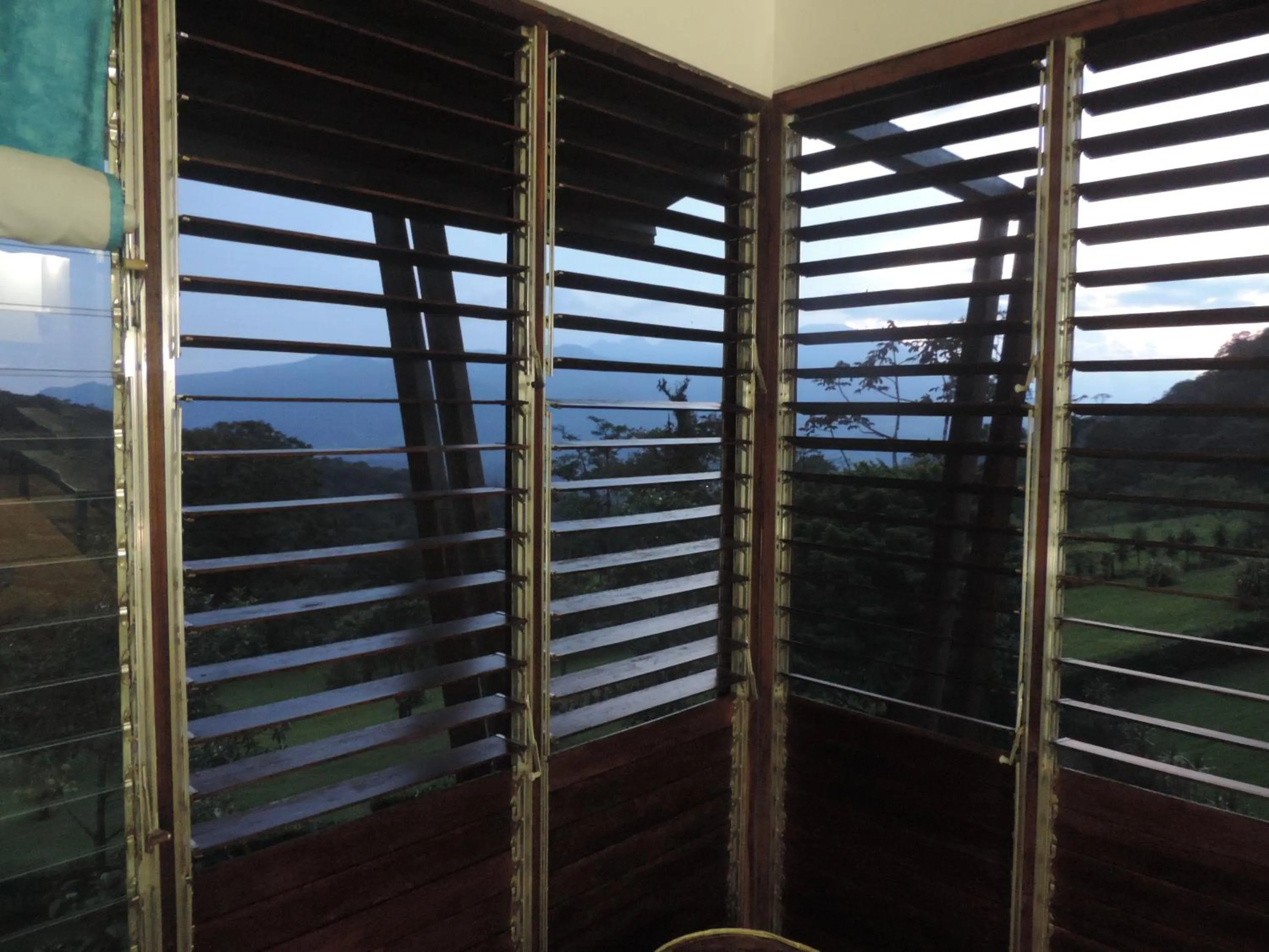 Garden view in Celeste Mountain Lodge