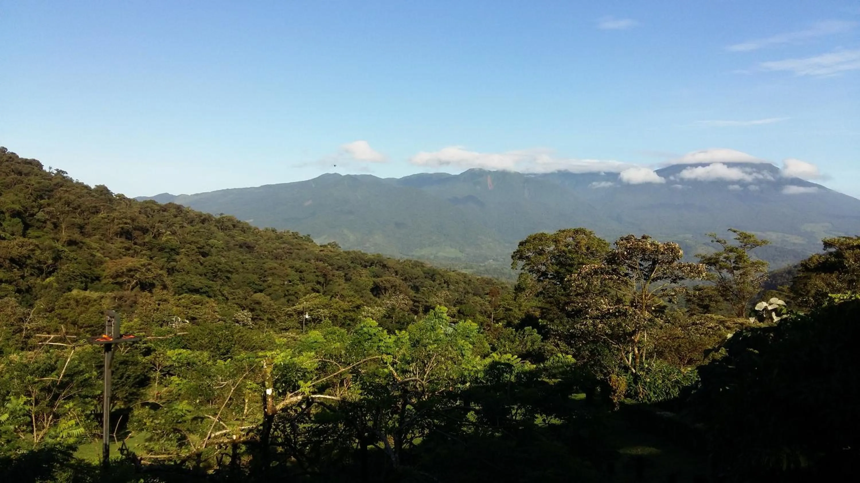 View (from property/room) in Celeste Mountain Lodge