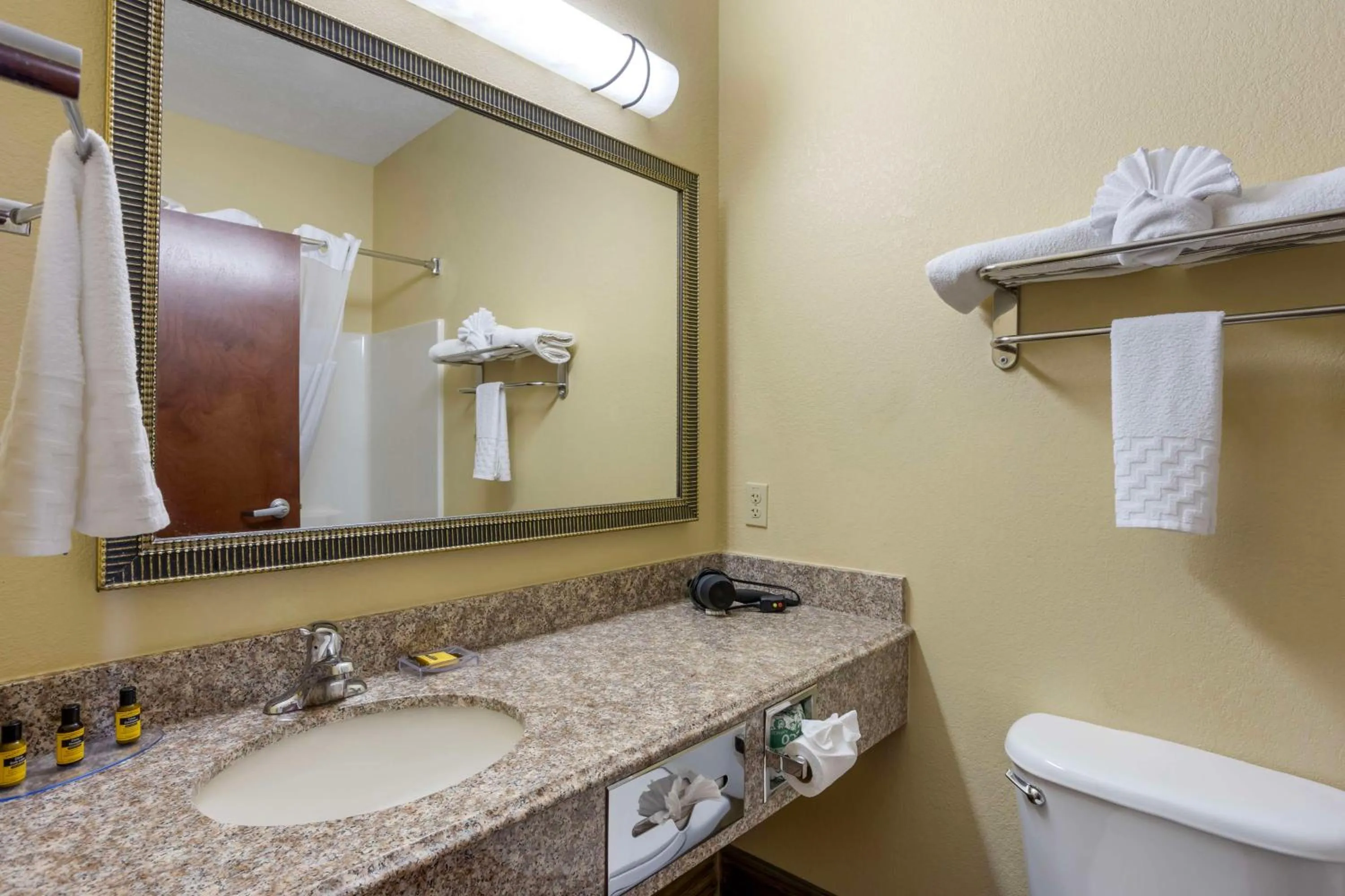 Bathroom in Best Western Plus Springfield Airport Inn