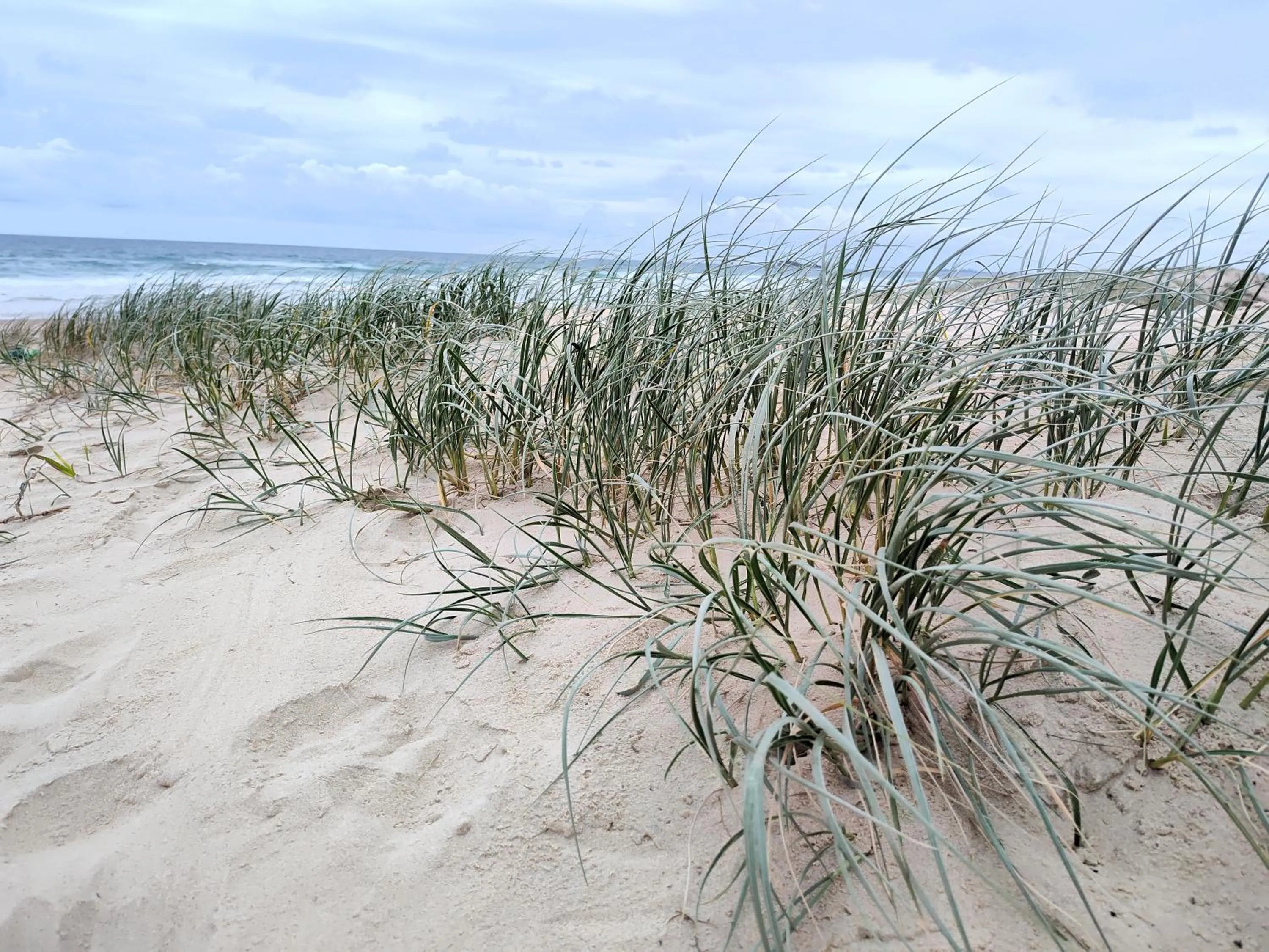 Beach in Pacific Palms Motor Inn